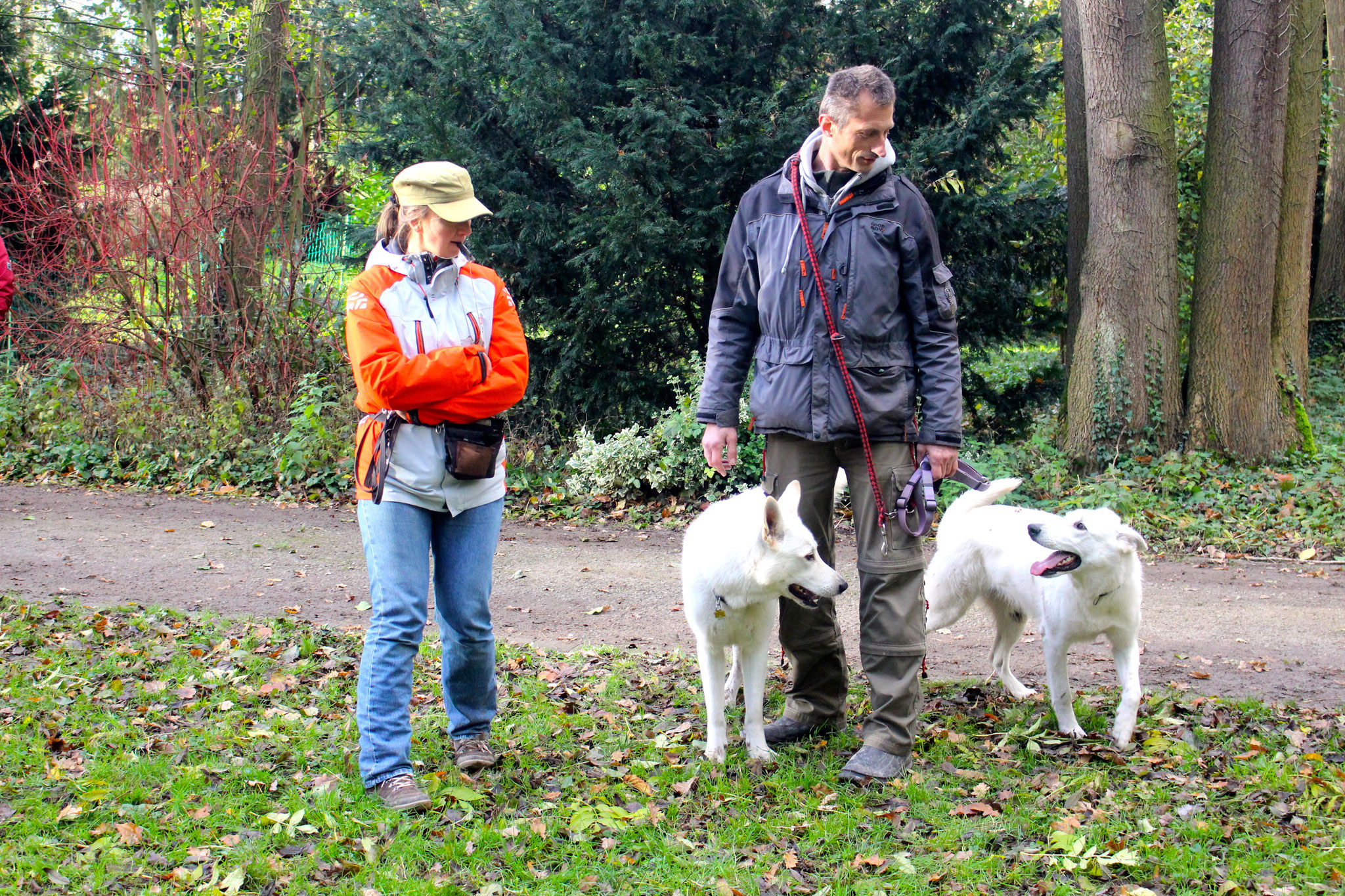 Buddy und Breeze