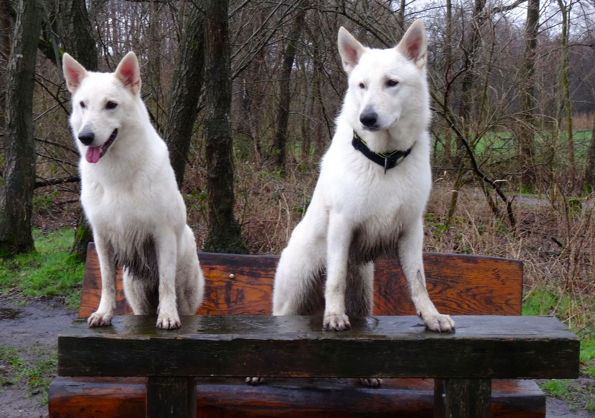 Milka & Flaco