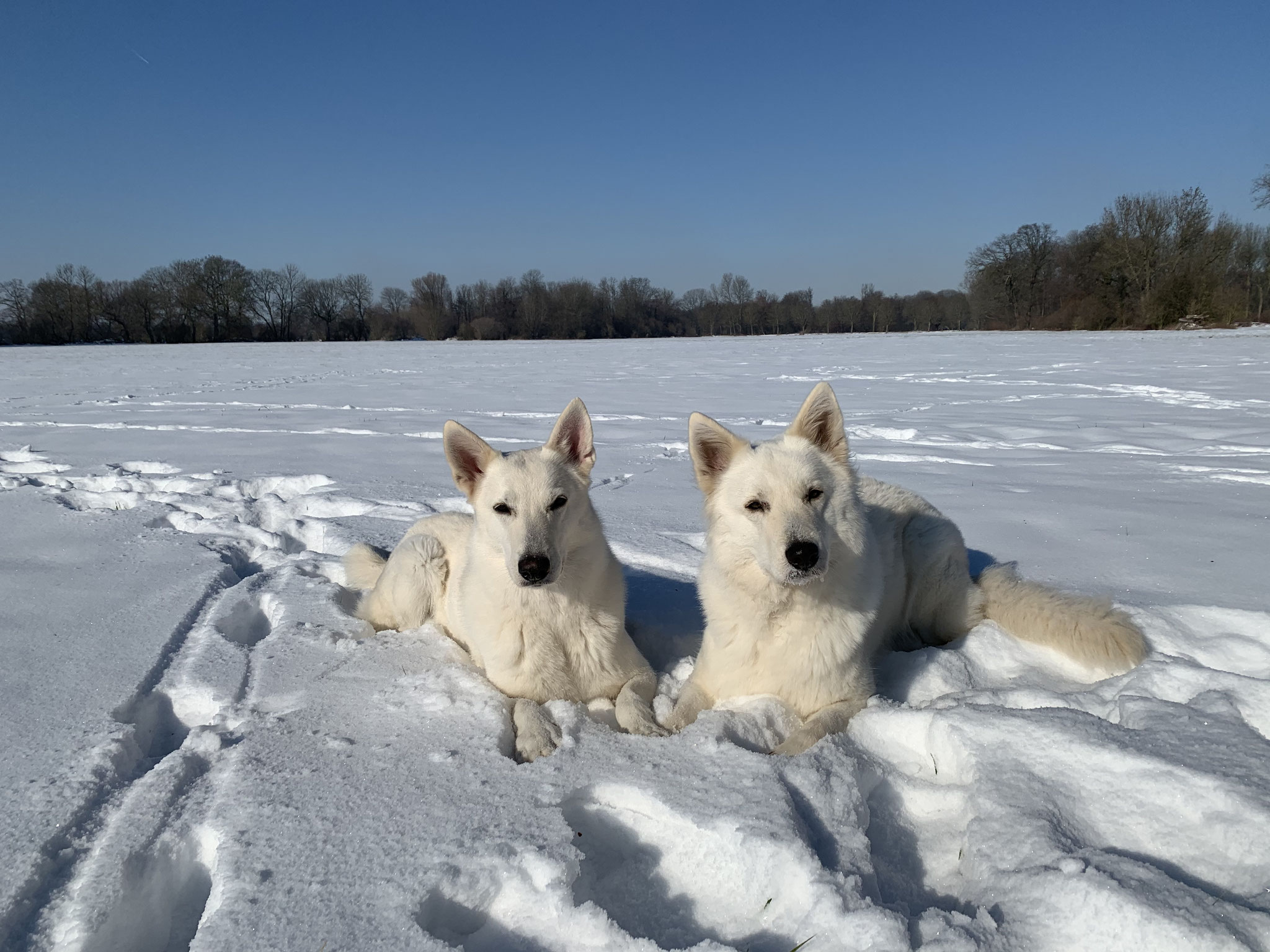 Milka & Nayeli