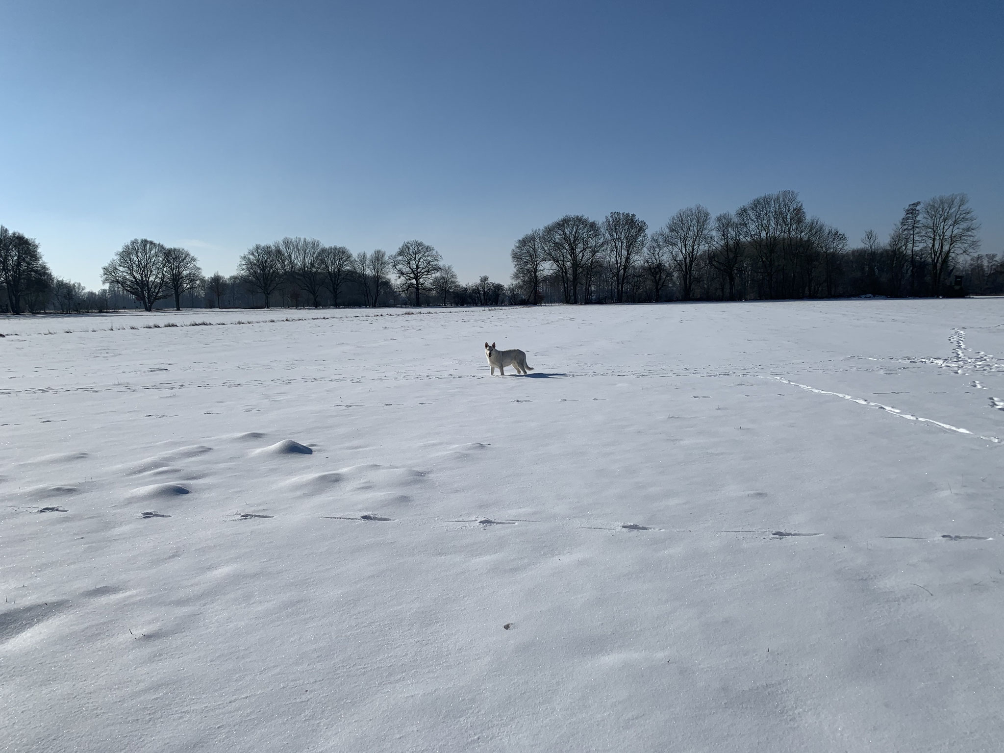 Schnee soweit das Auge reicht 