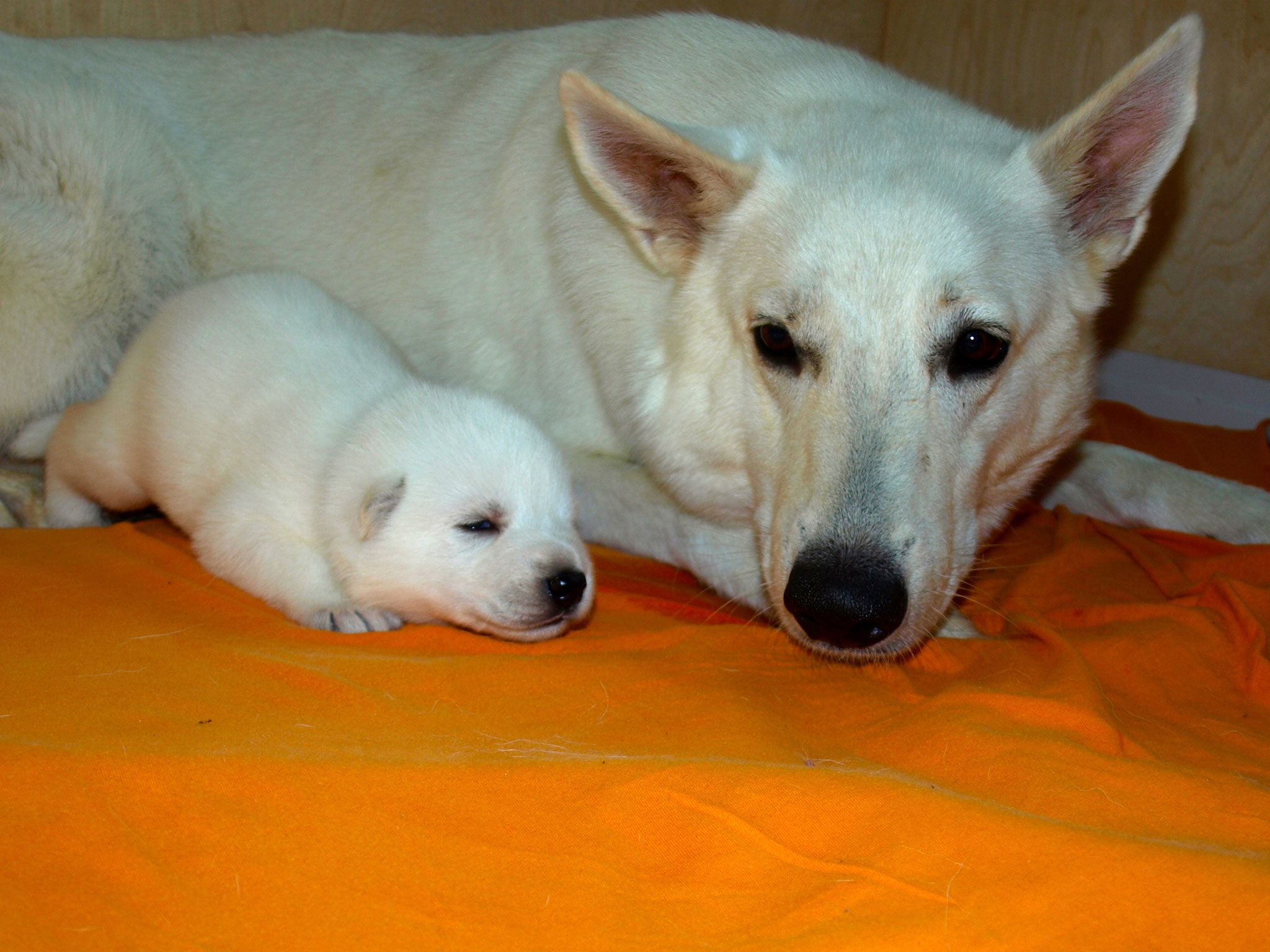 Mutter und Sohn