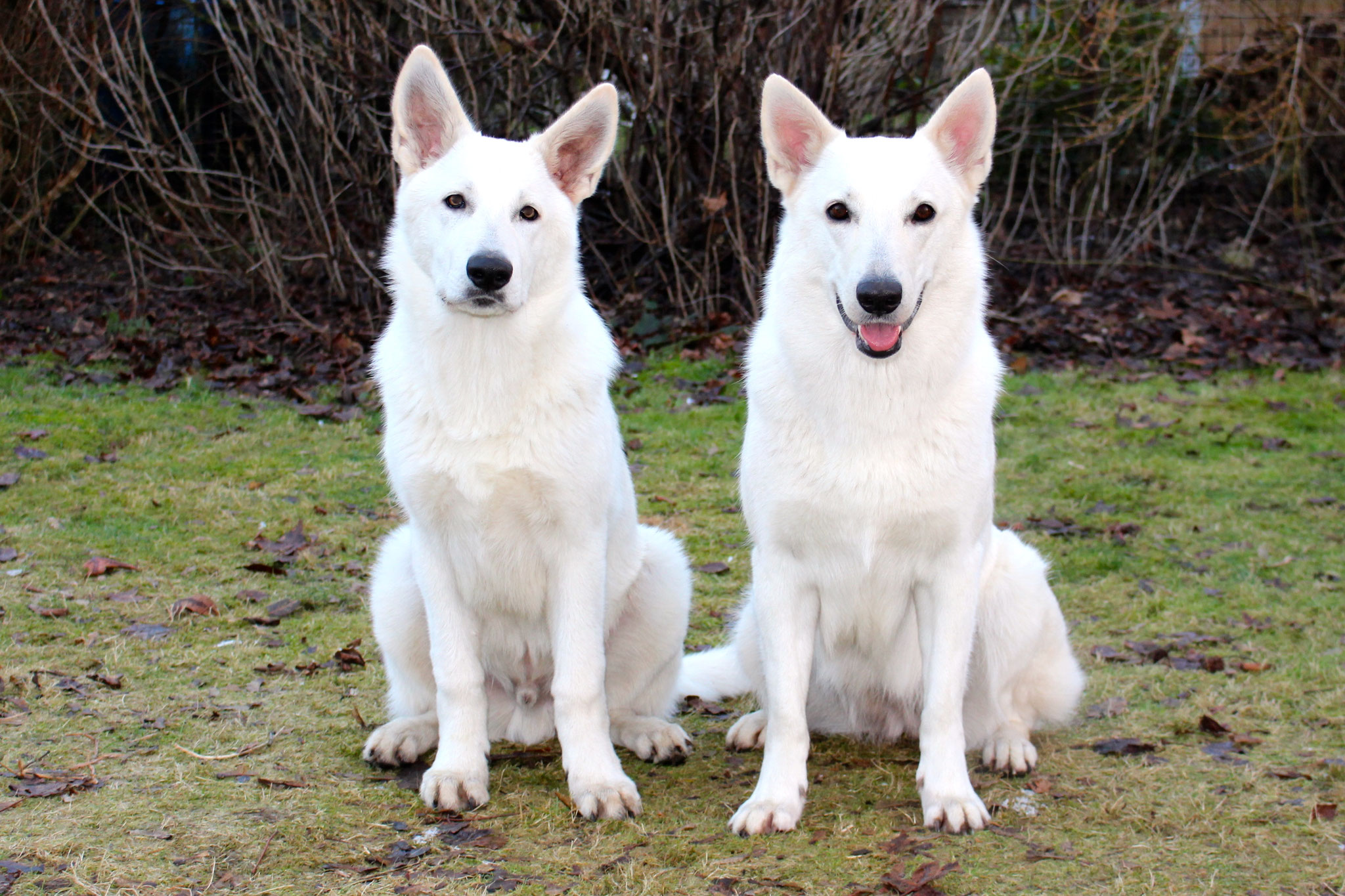 Flaco und Mama Milka
