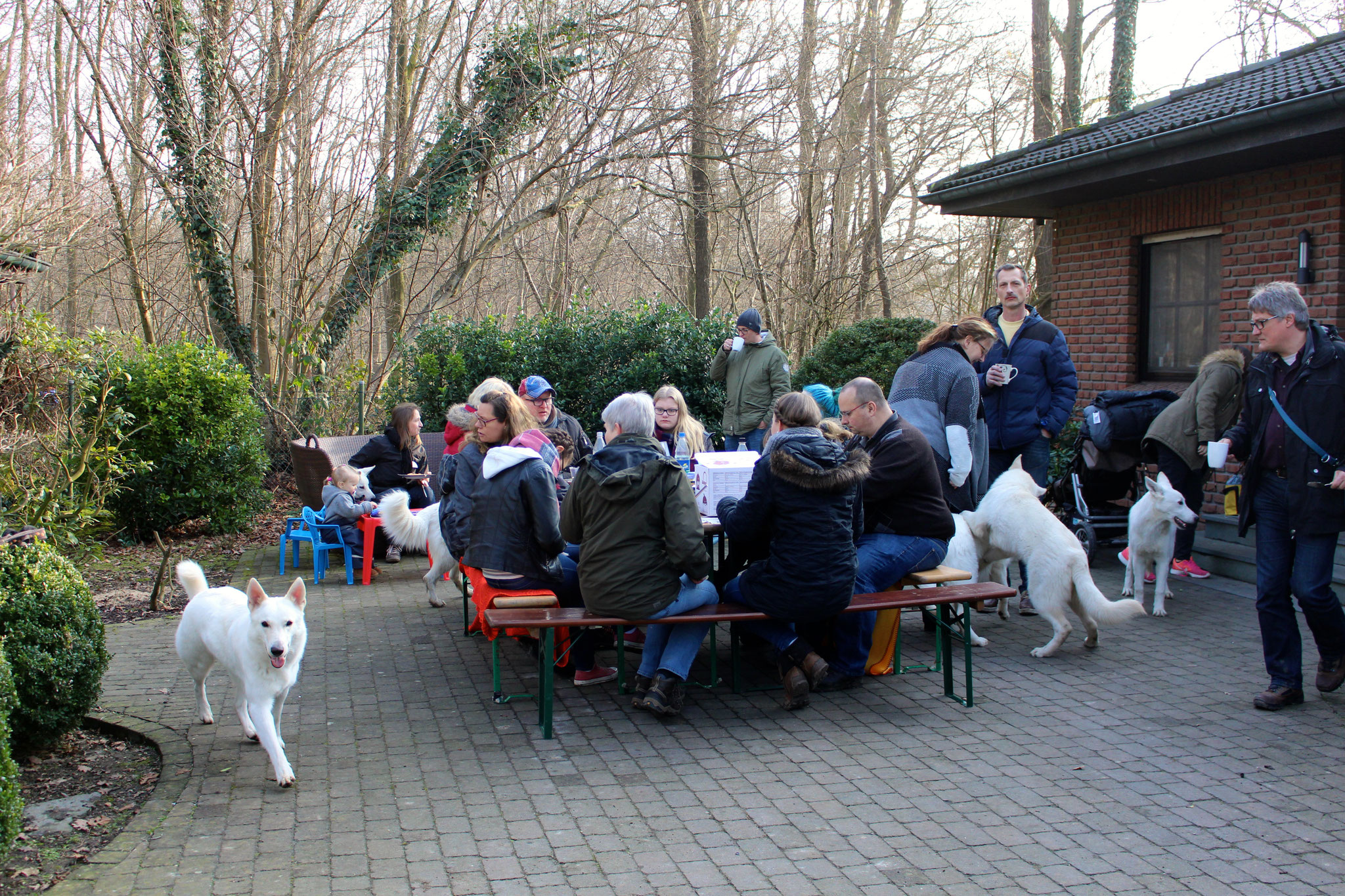 viele Menschen und viele weiße Hunde