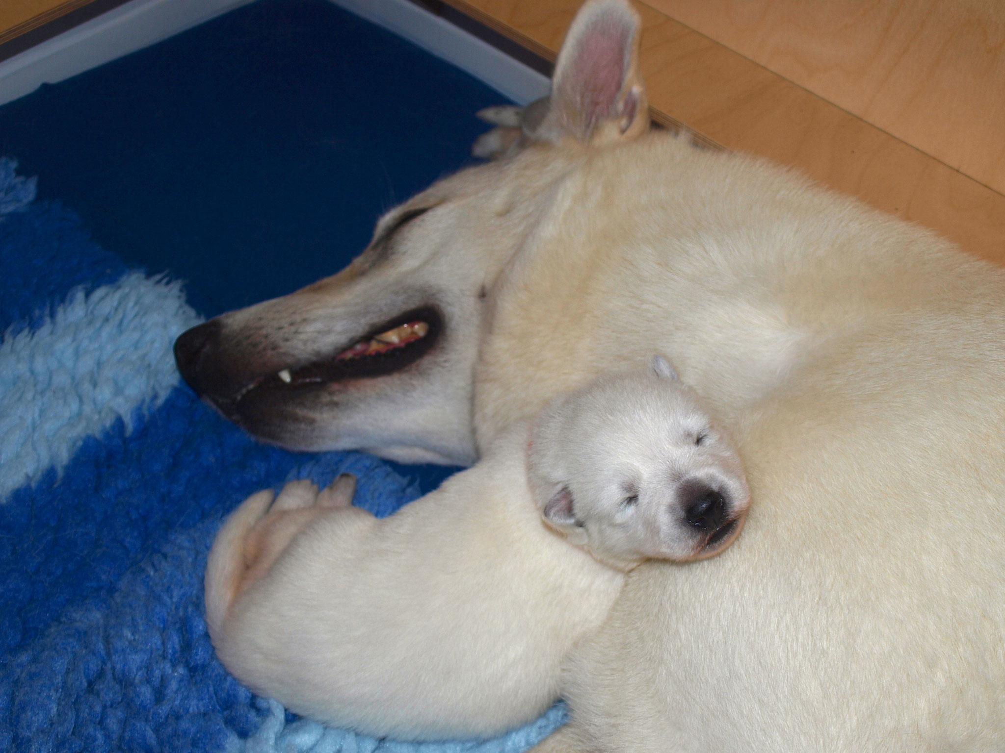 Mutter und Tochter