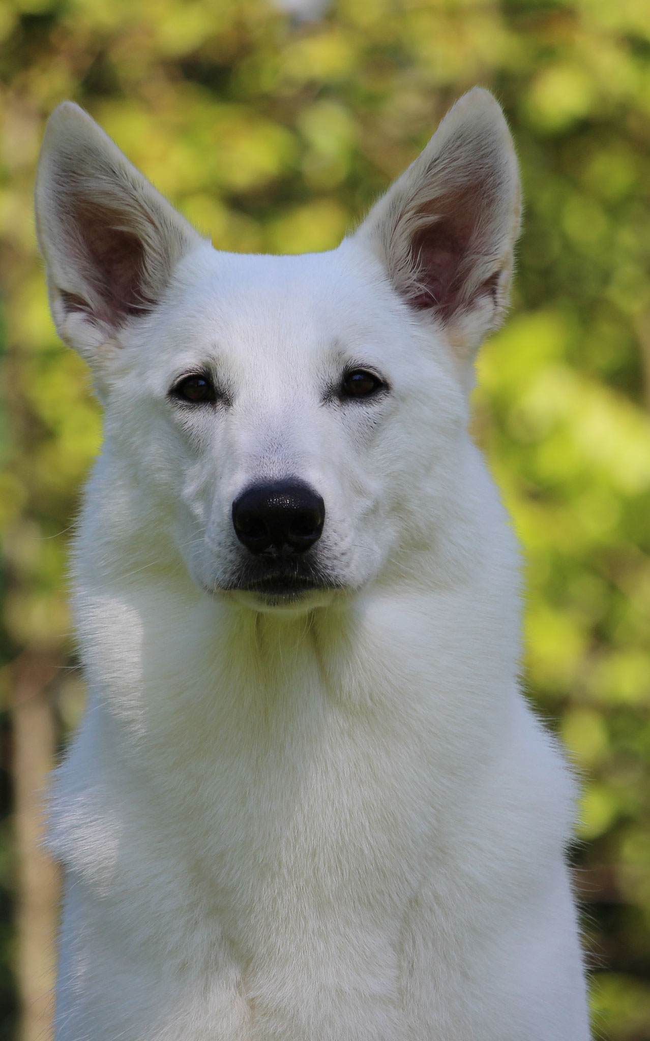 Oma Arjunas Blick