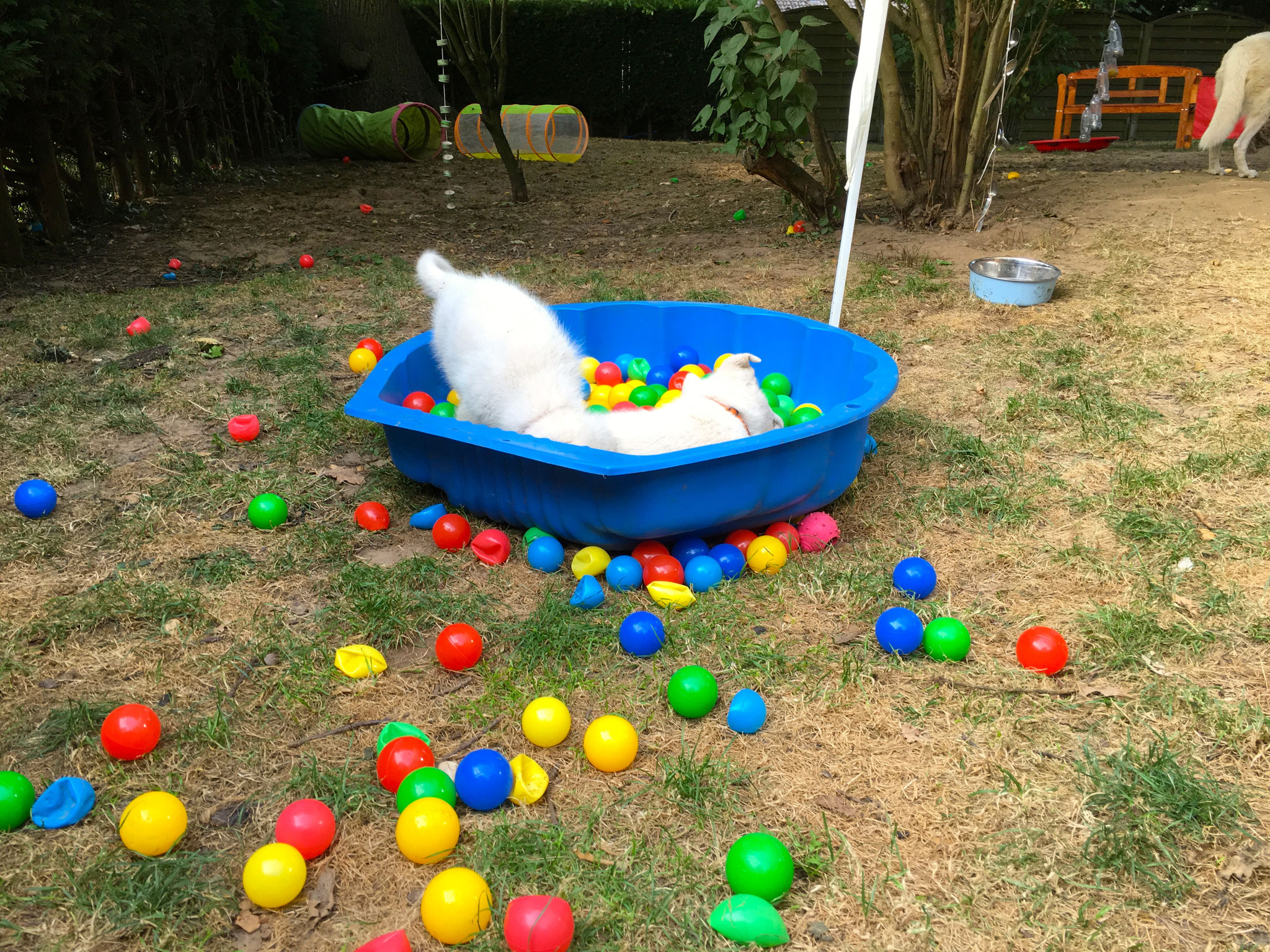 im Hintergrund sieht man einen Teil des Spieleparadieses