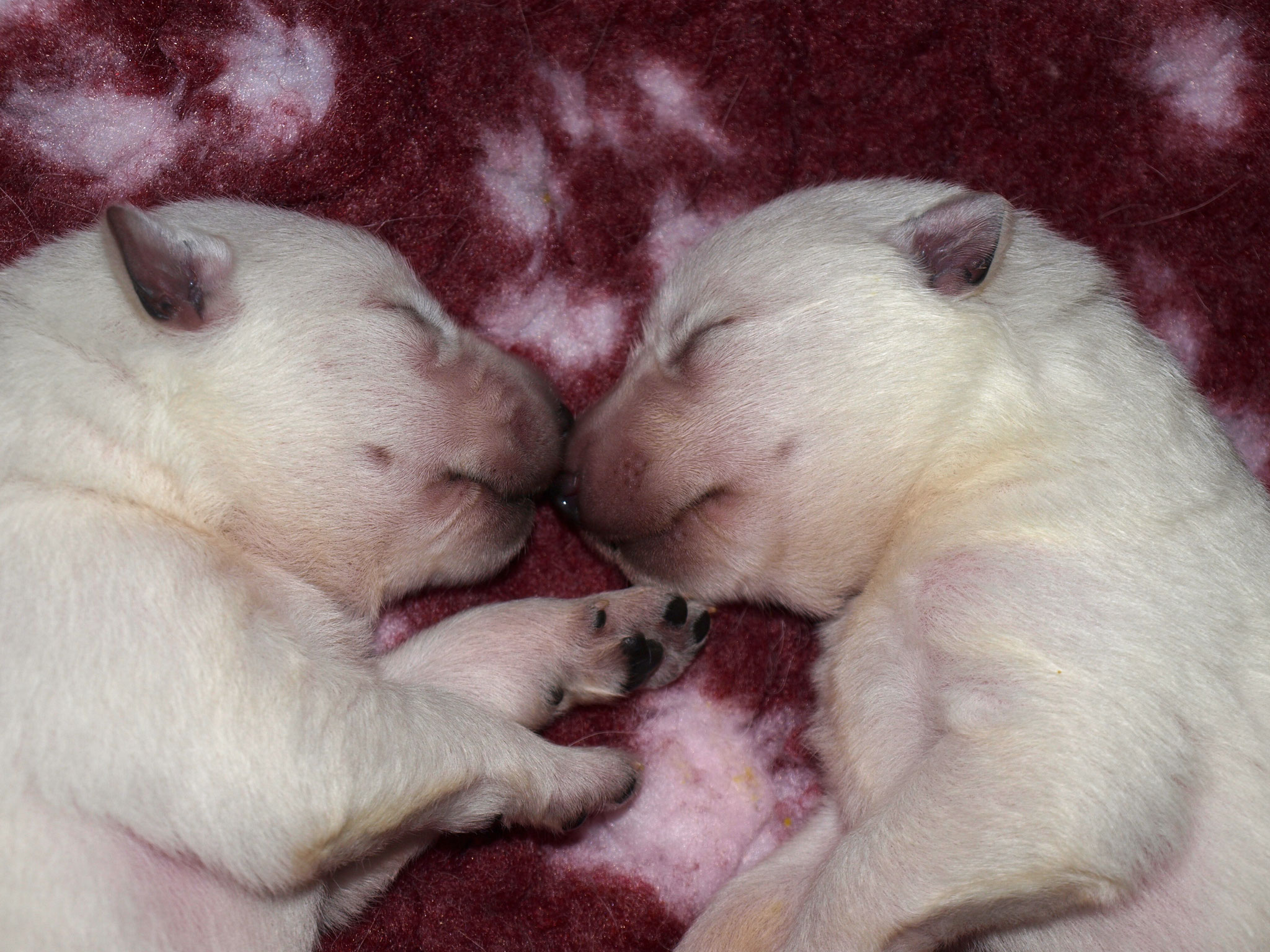 Bruder & Schwester