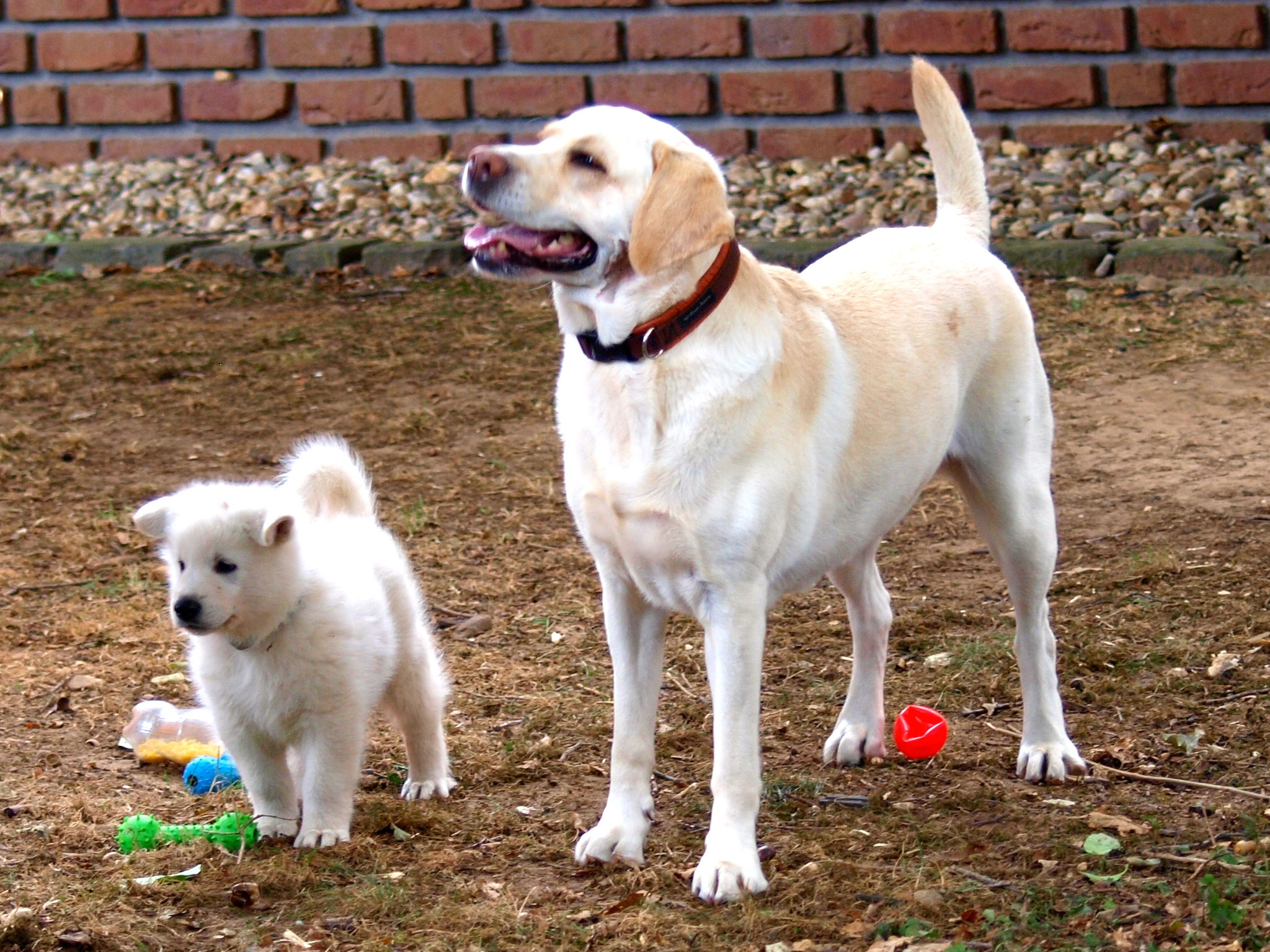 Maya und Buck