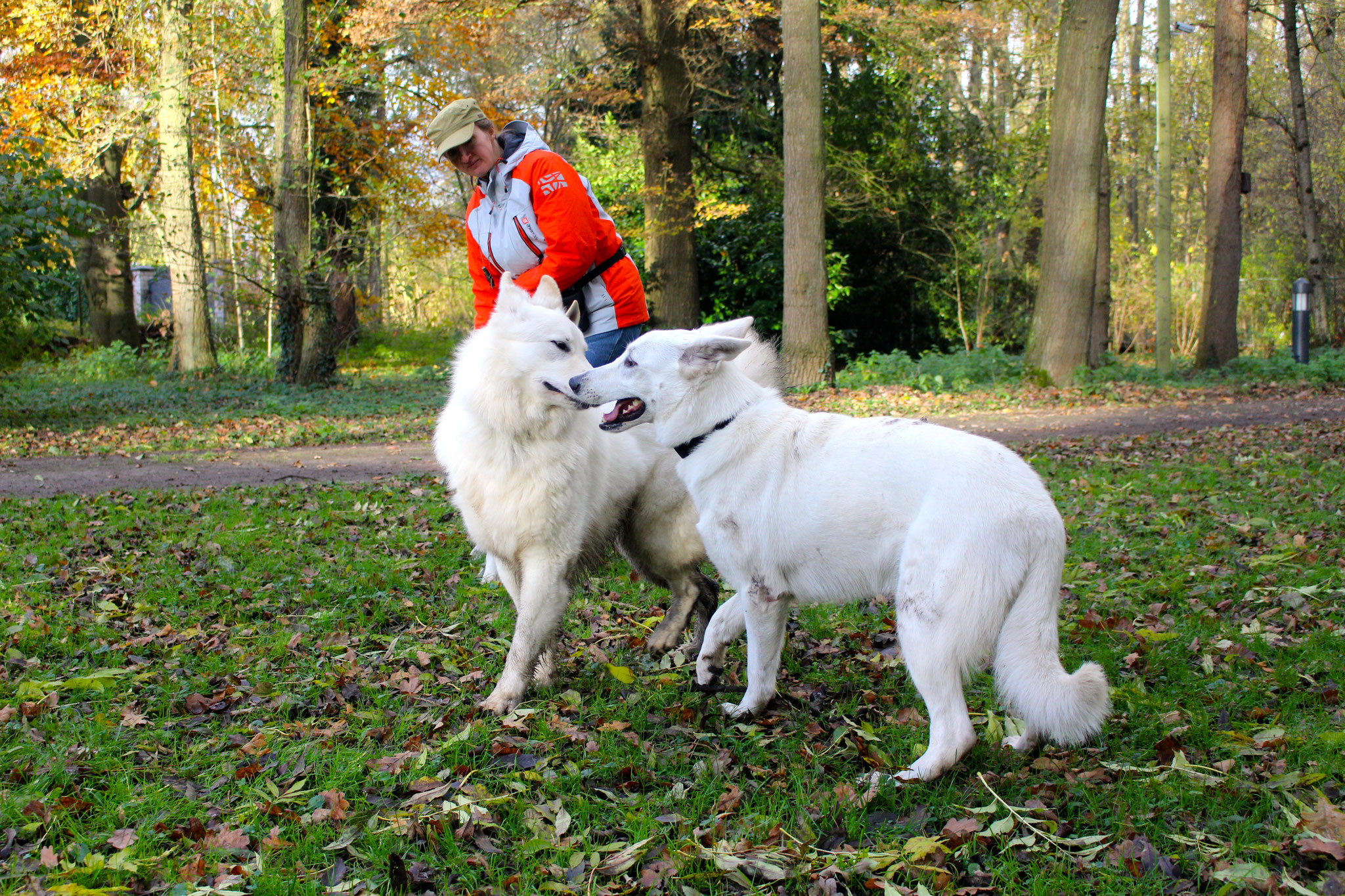 Prince und Breeze