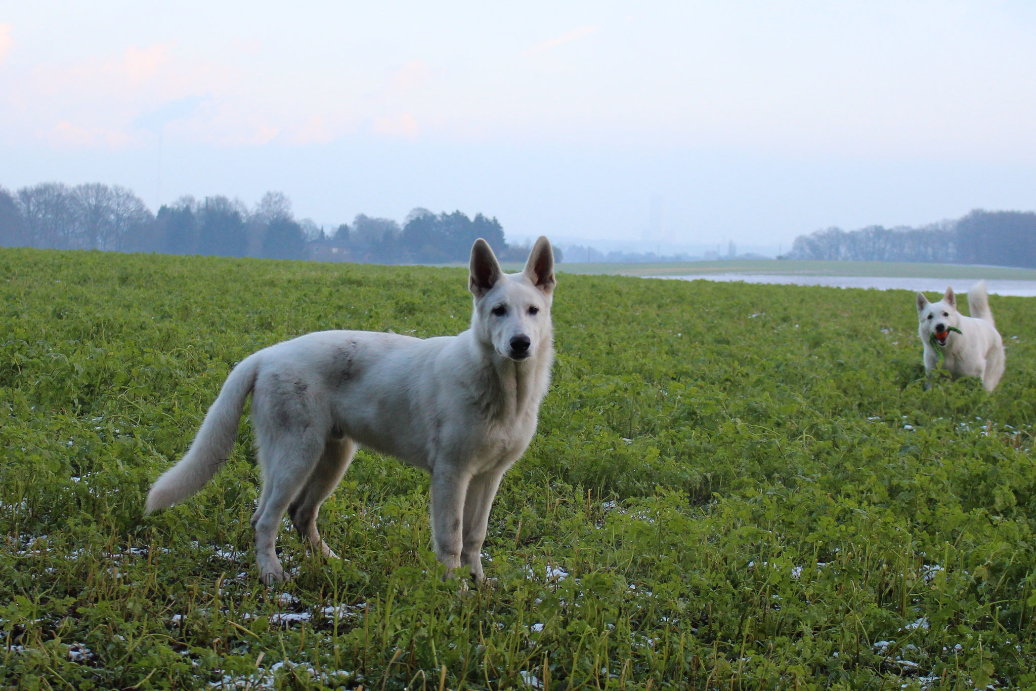 kleiner Poser ;-)