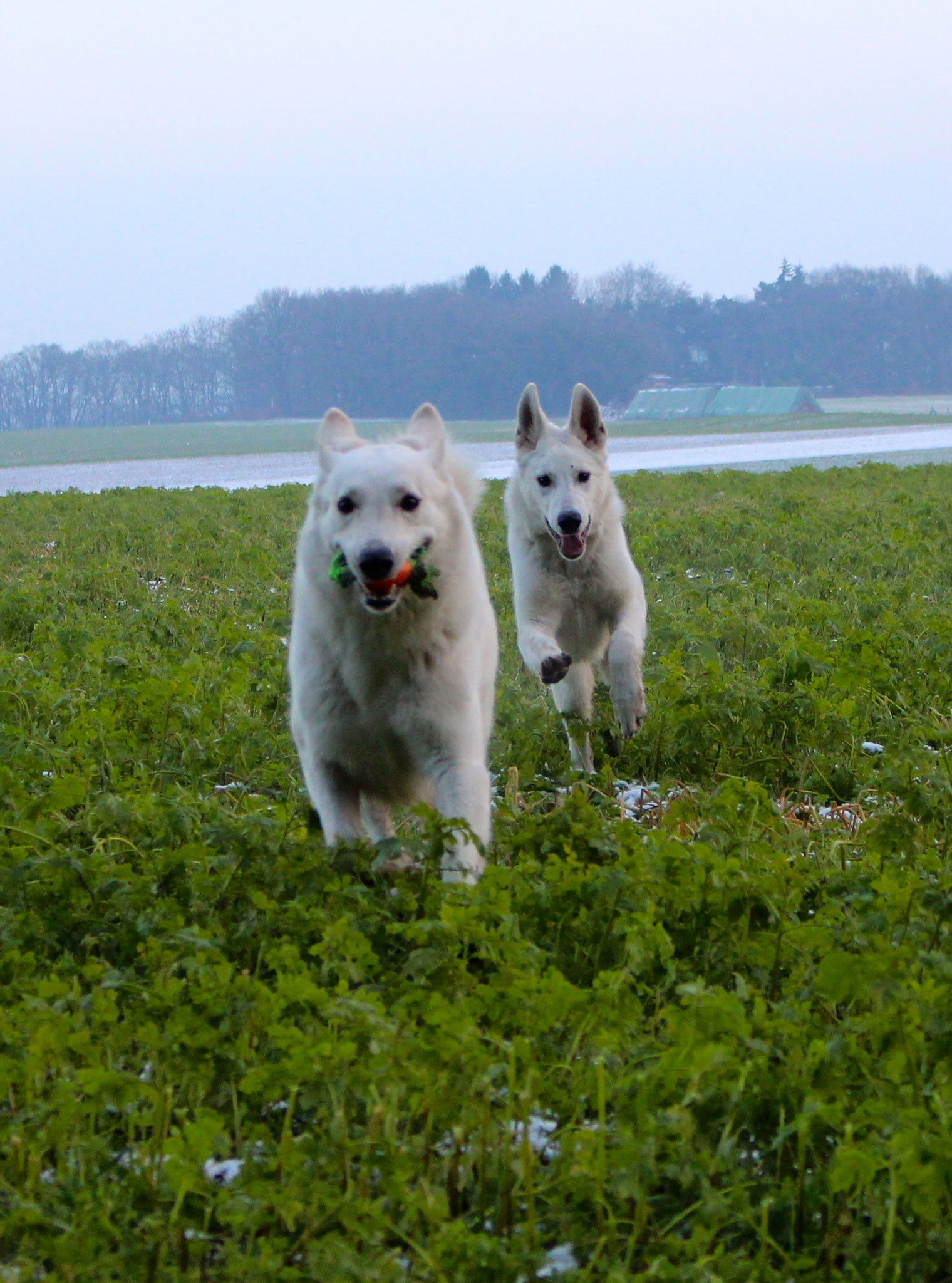 toben mit Mama
