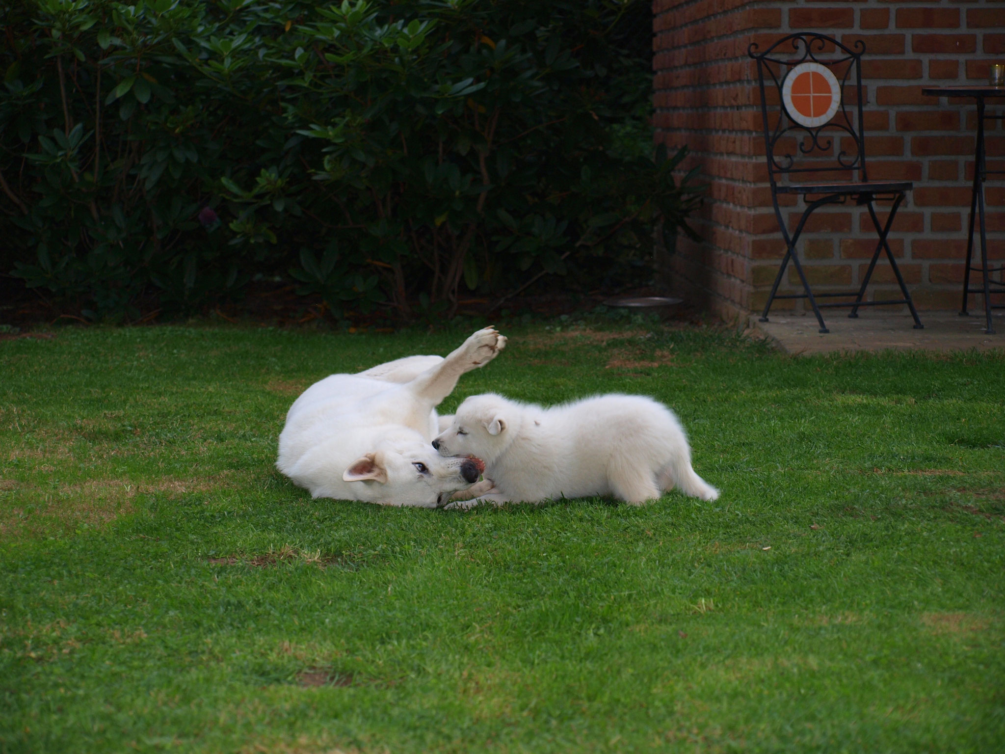 Unterricht mit Arjuna