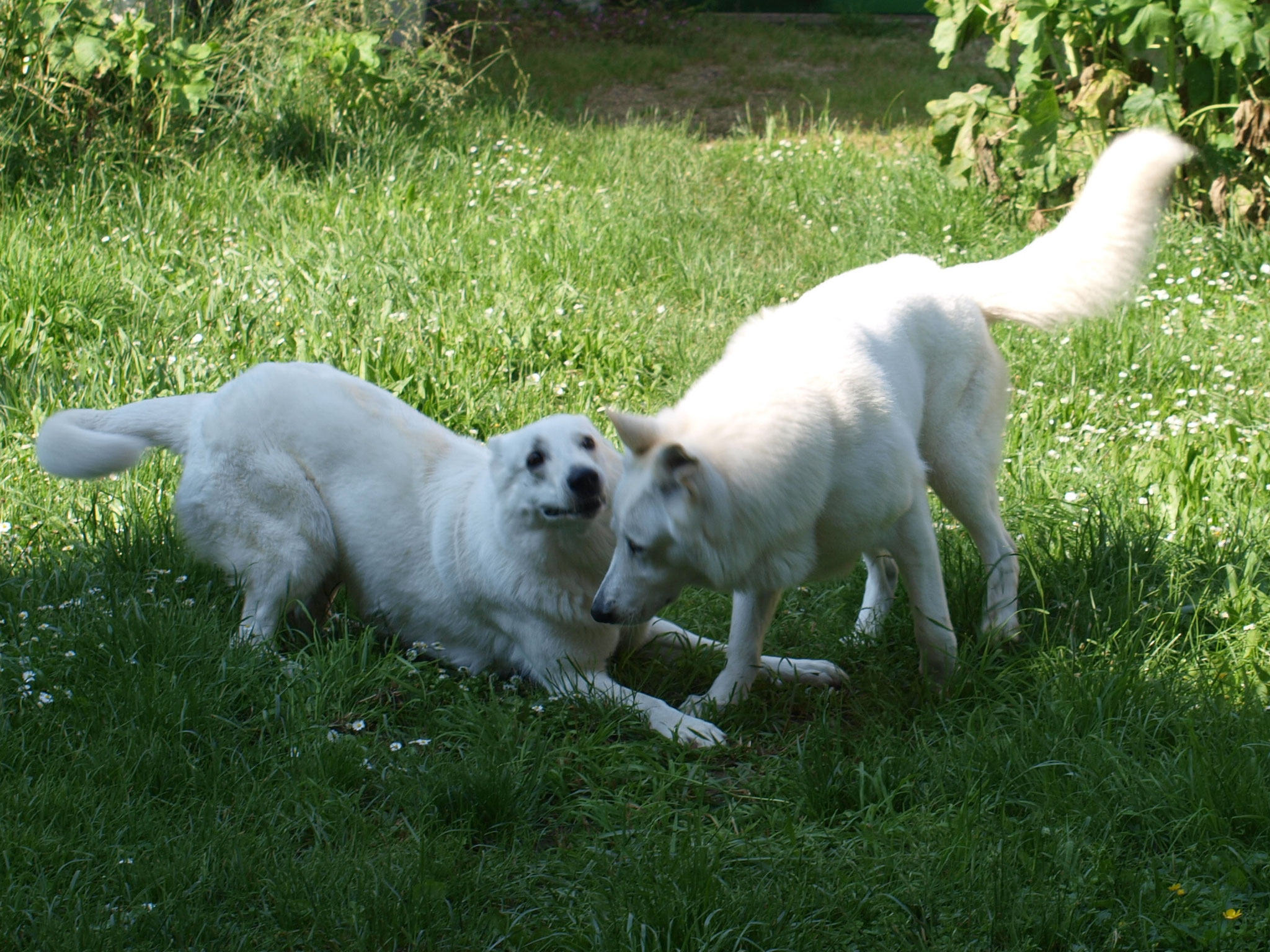 Komm, lass uns erst ne Runde spielen