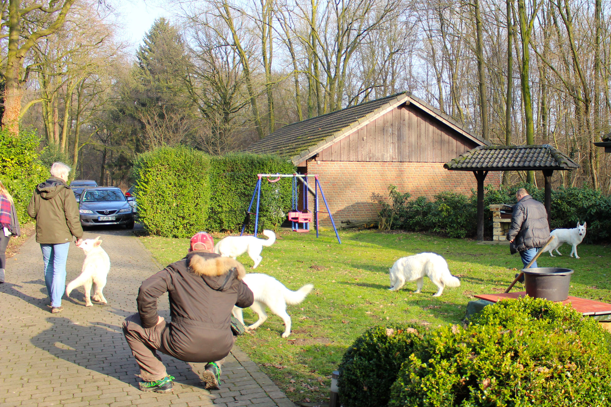 viele Fotografen waren am Werk heute