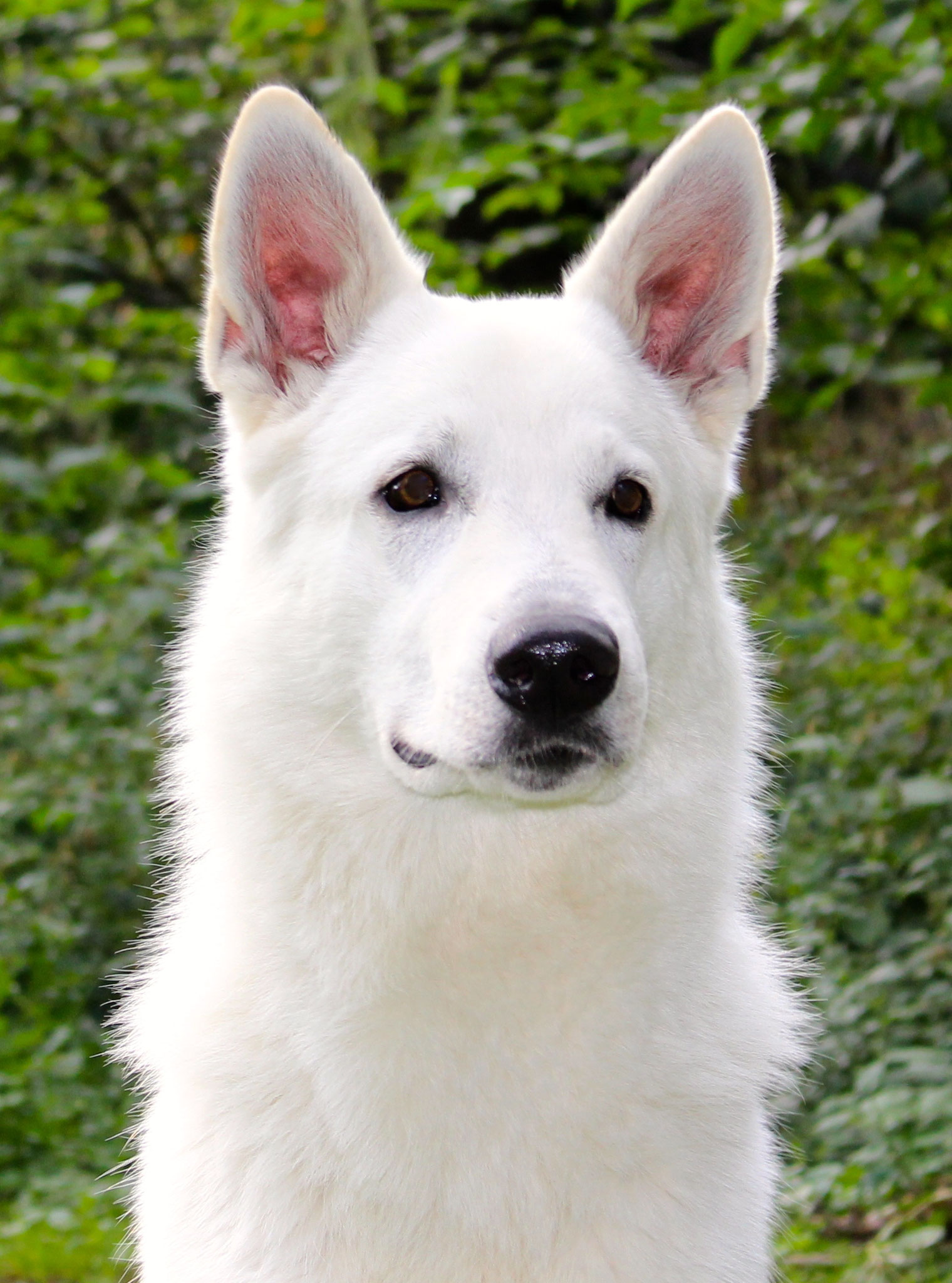 seiner Mama wie aus dem Gesicht geschnitten