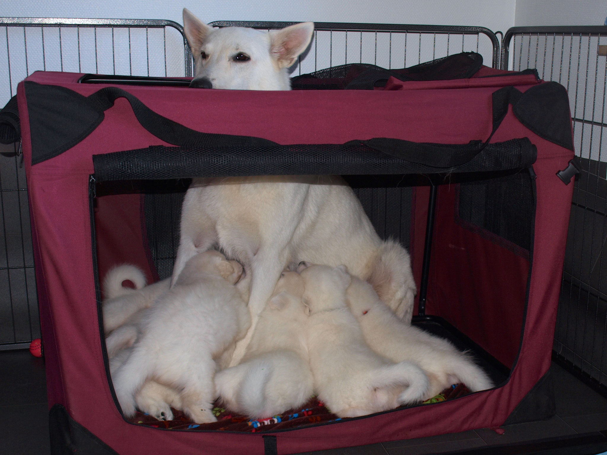 für uns ist in der kleinsten Hütte Platz 