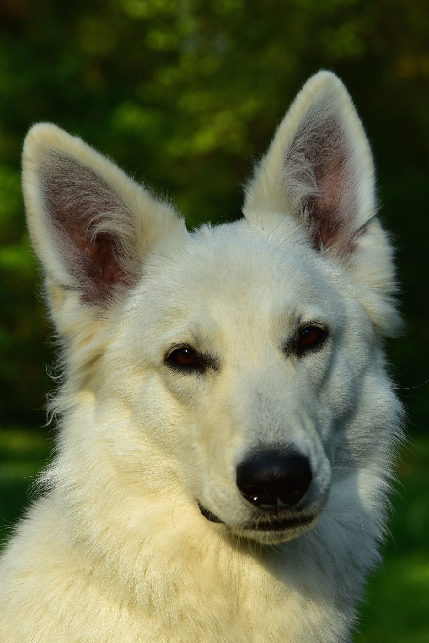 Aiyana