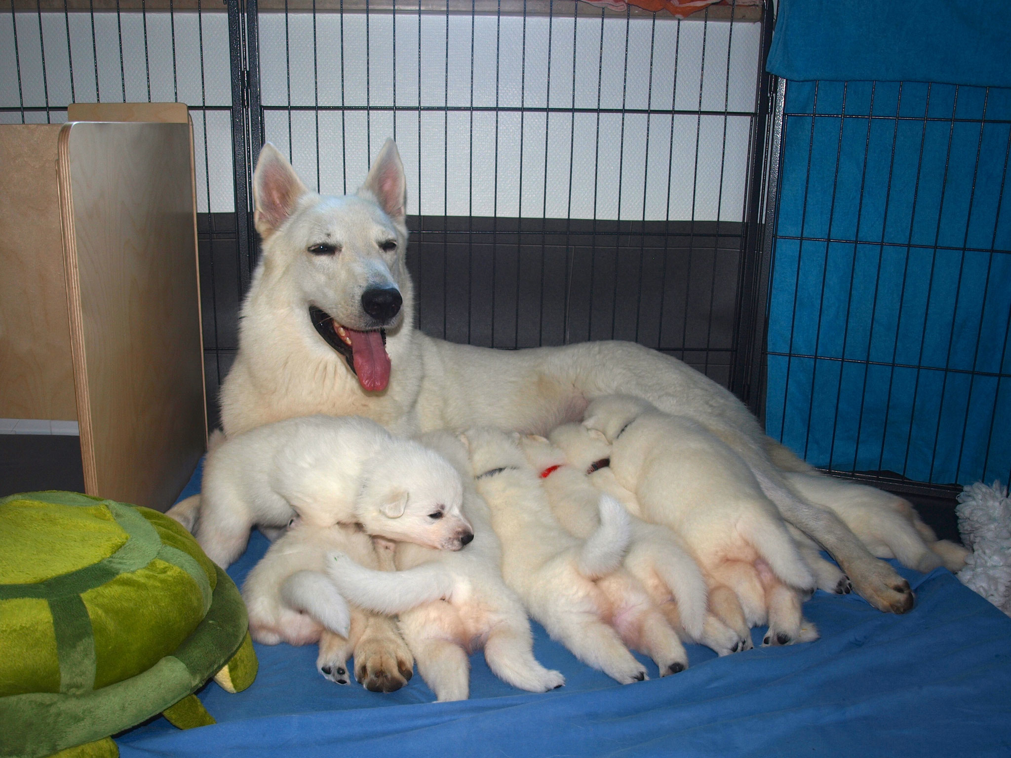 anstrengend für die Mama