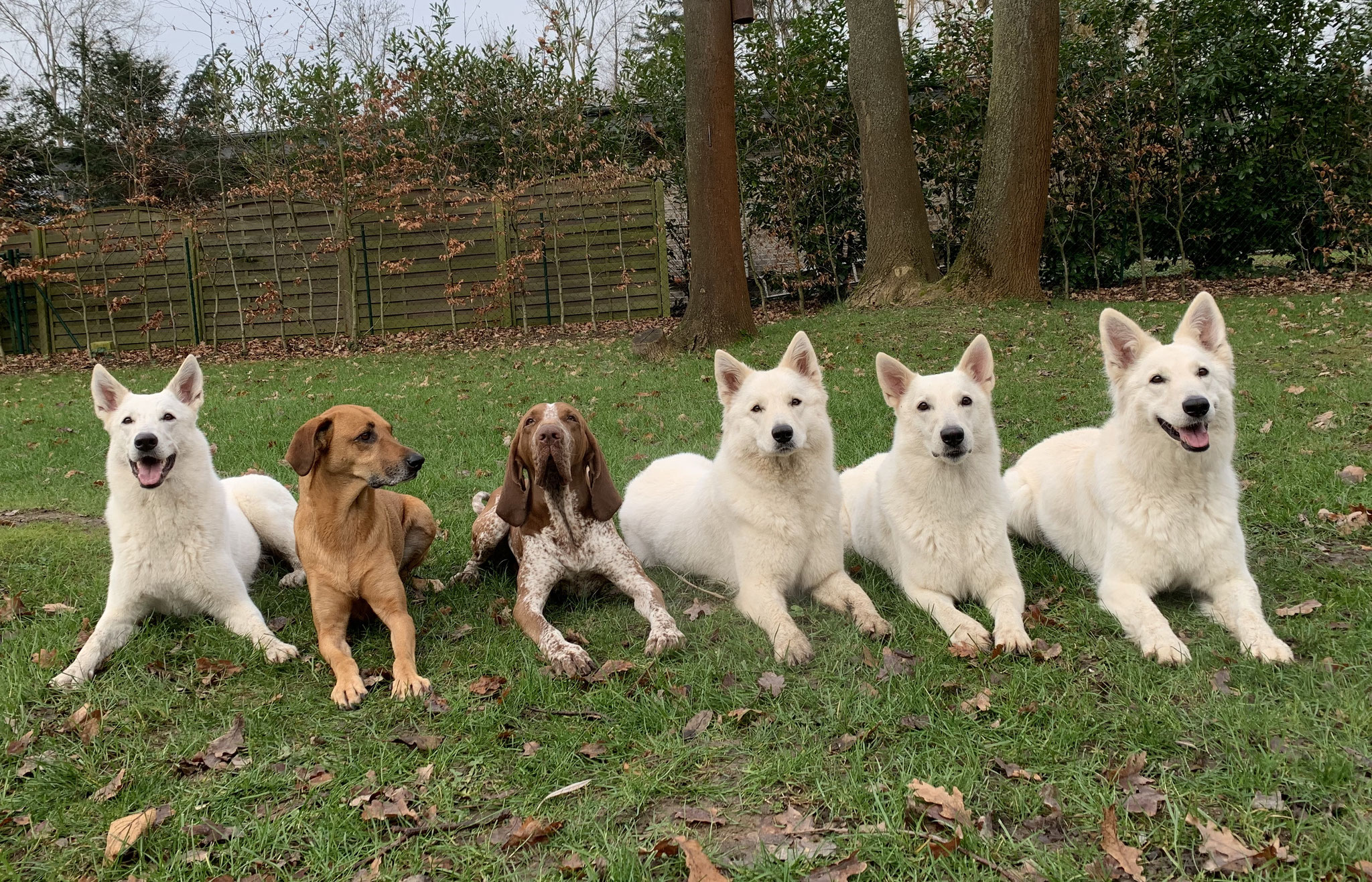 Katniss - Tink - Enno - Nayeli - Milka - Aiyana