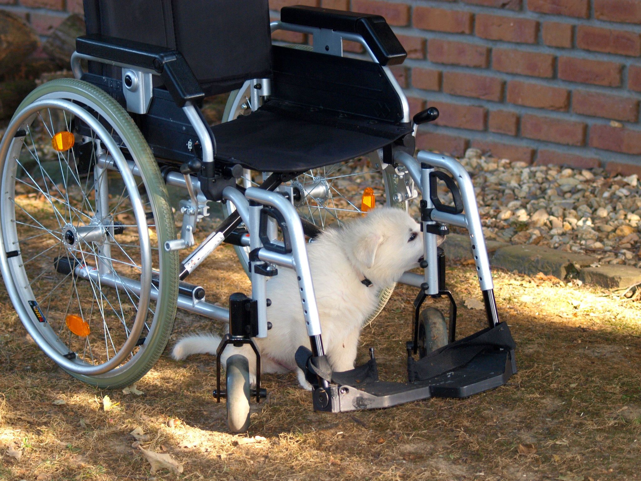 der Rollstuhl wird untersucht