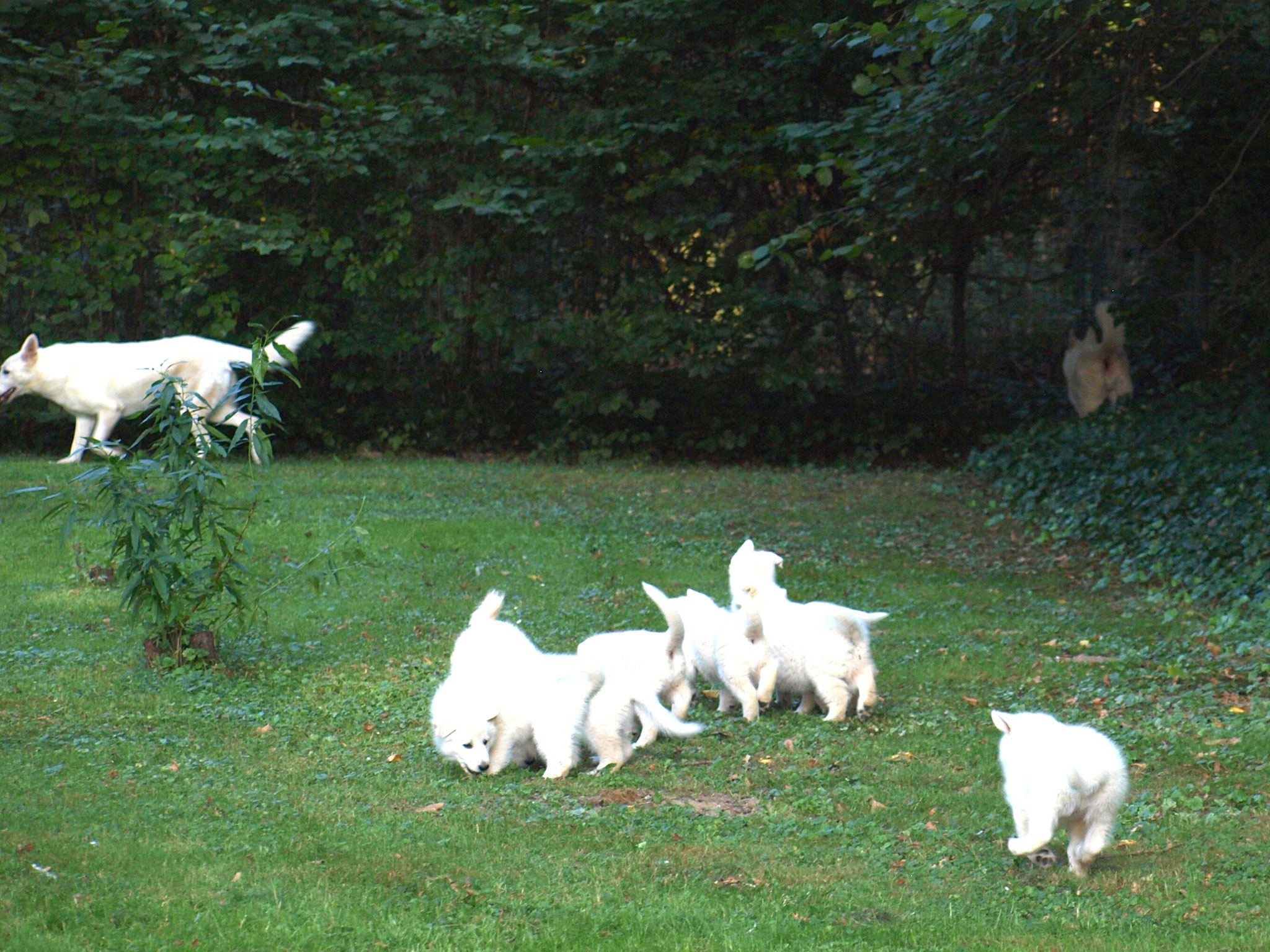 Oma und Mama vorne weg, die SchokoBons hinterher