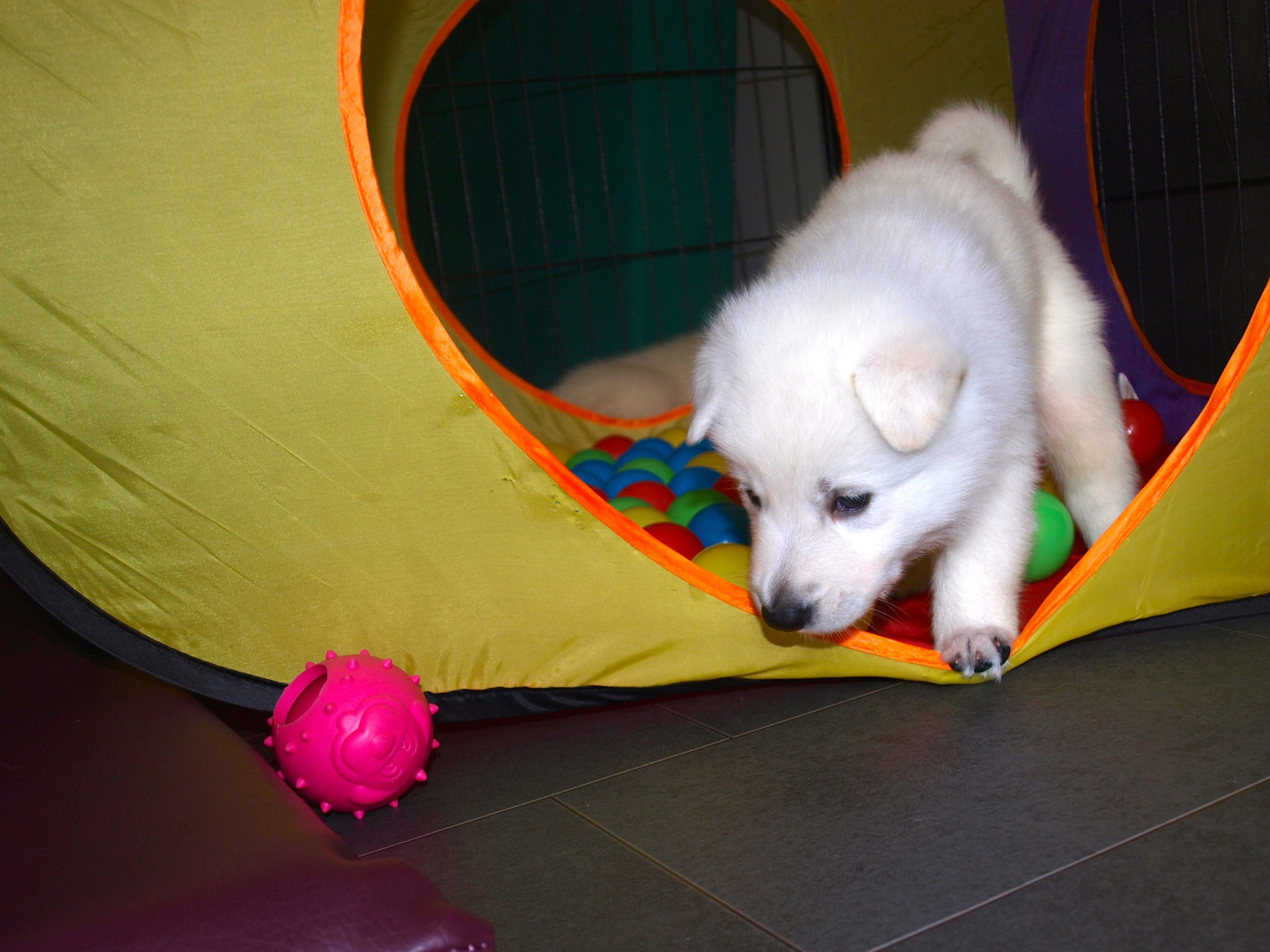 Leona hat natürlich einen pinken Ball