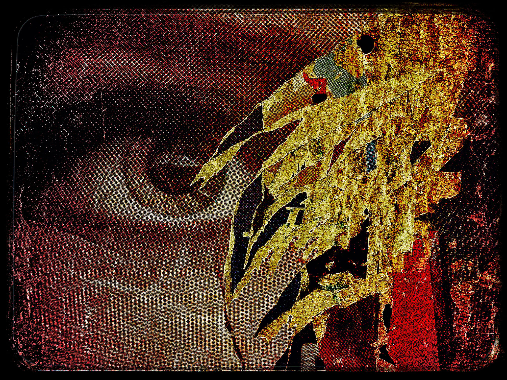 OEIL