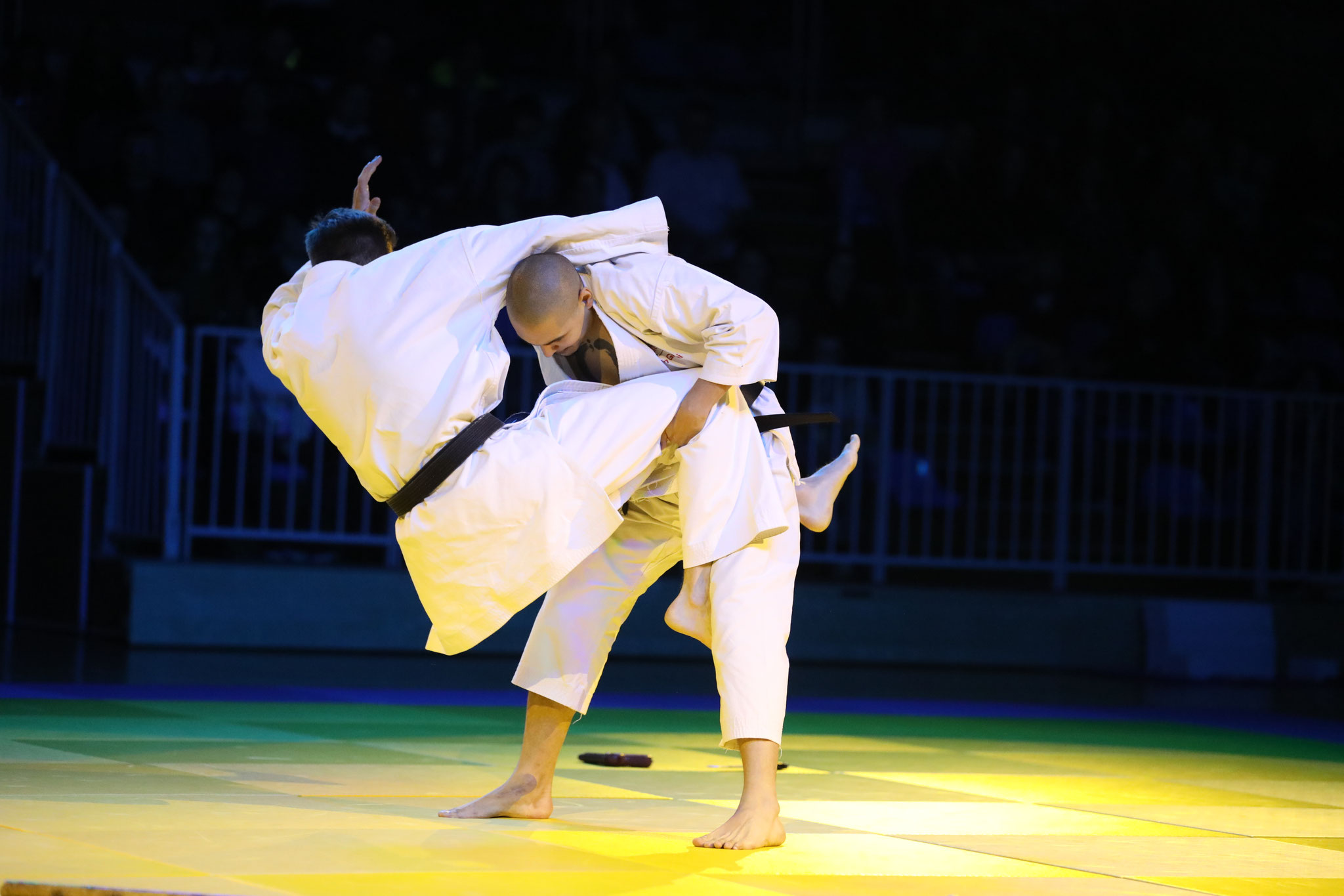 Nuit des Arts Martiaux jujitsu selfdefense club du nord Grosbous