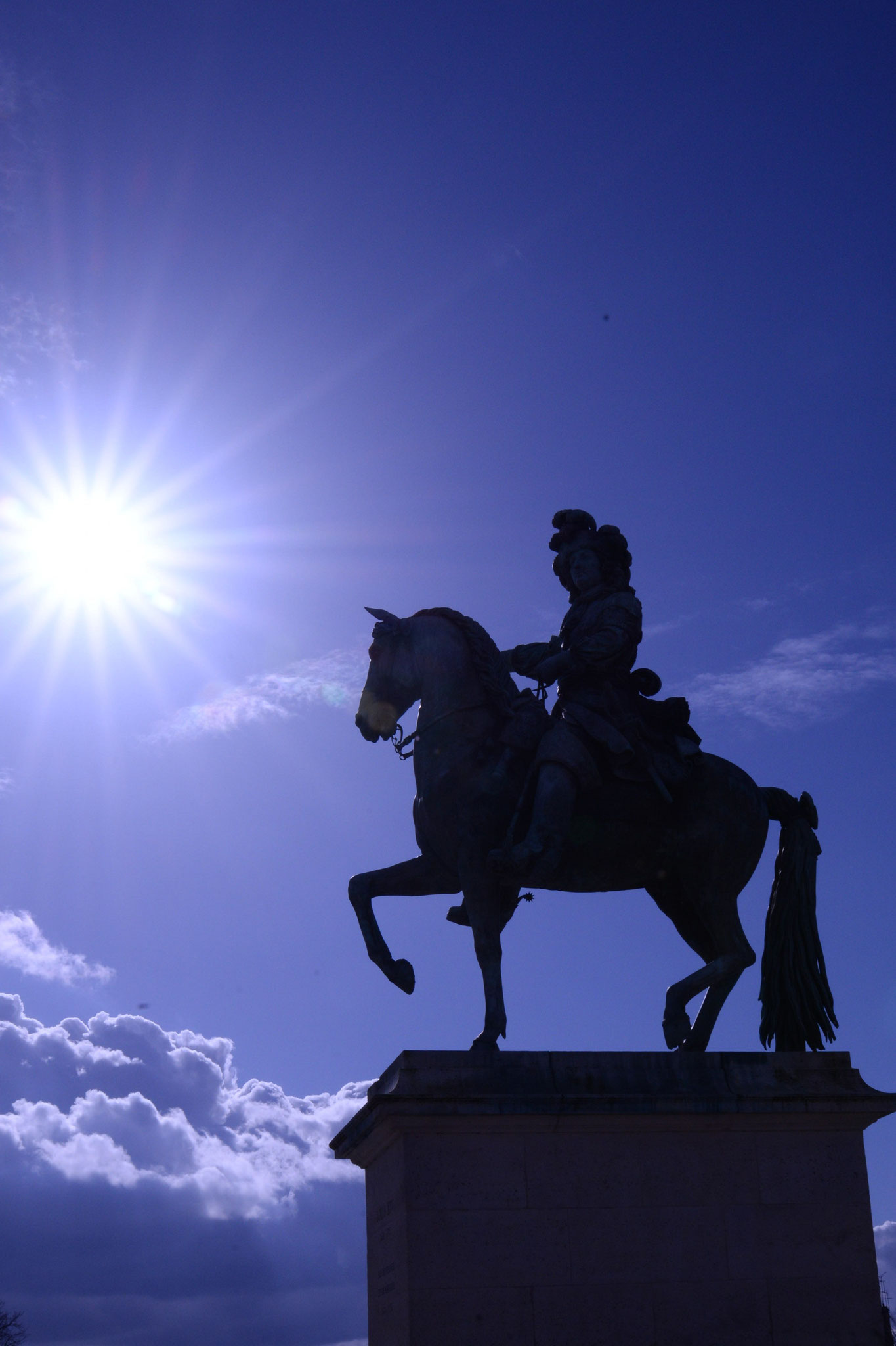 Le roi soleil Versailles