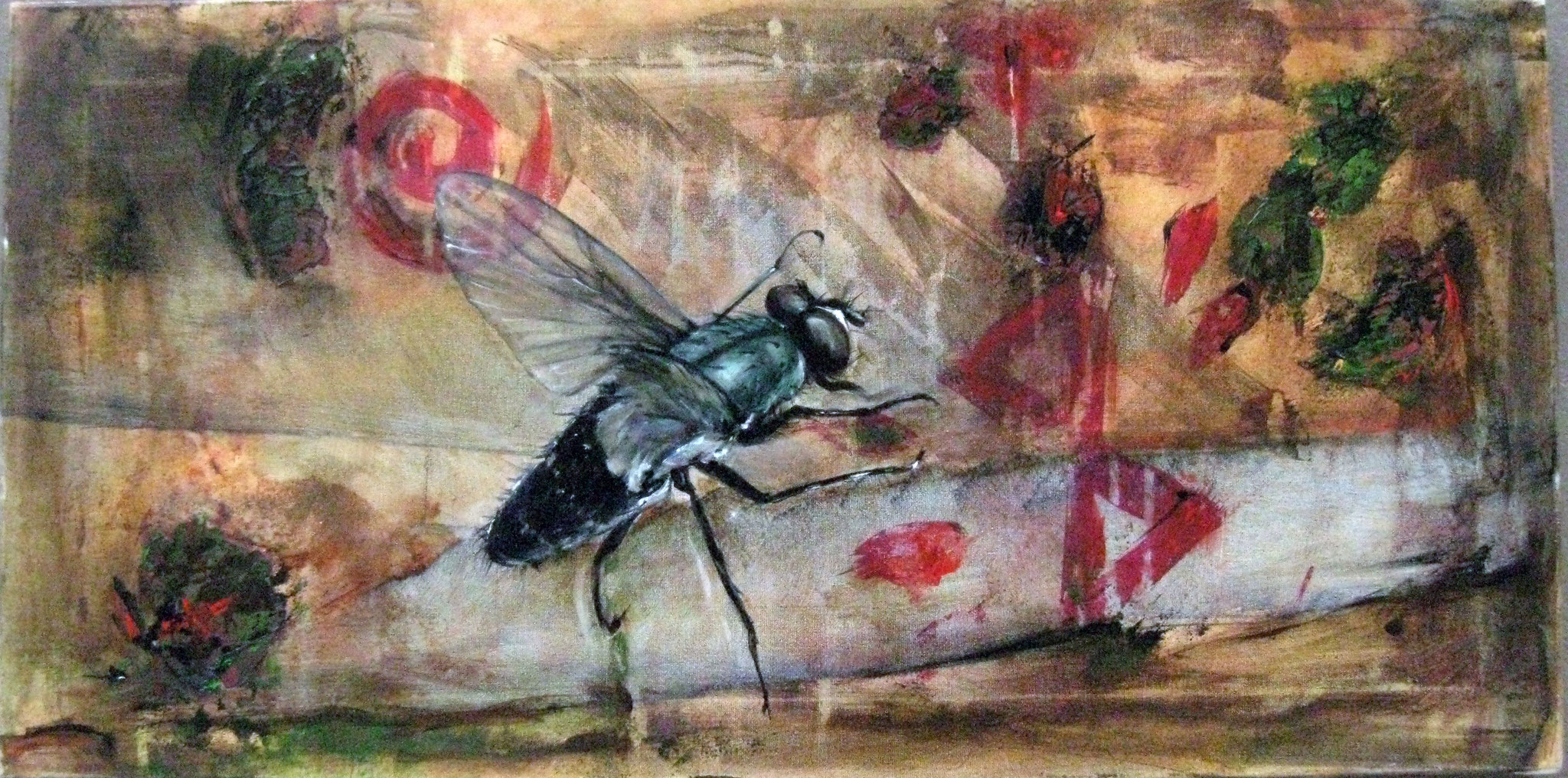 biosphere "wall 1", 40x80cm, 2007