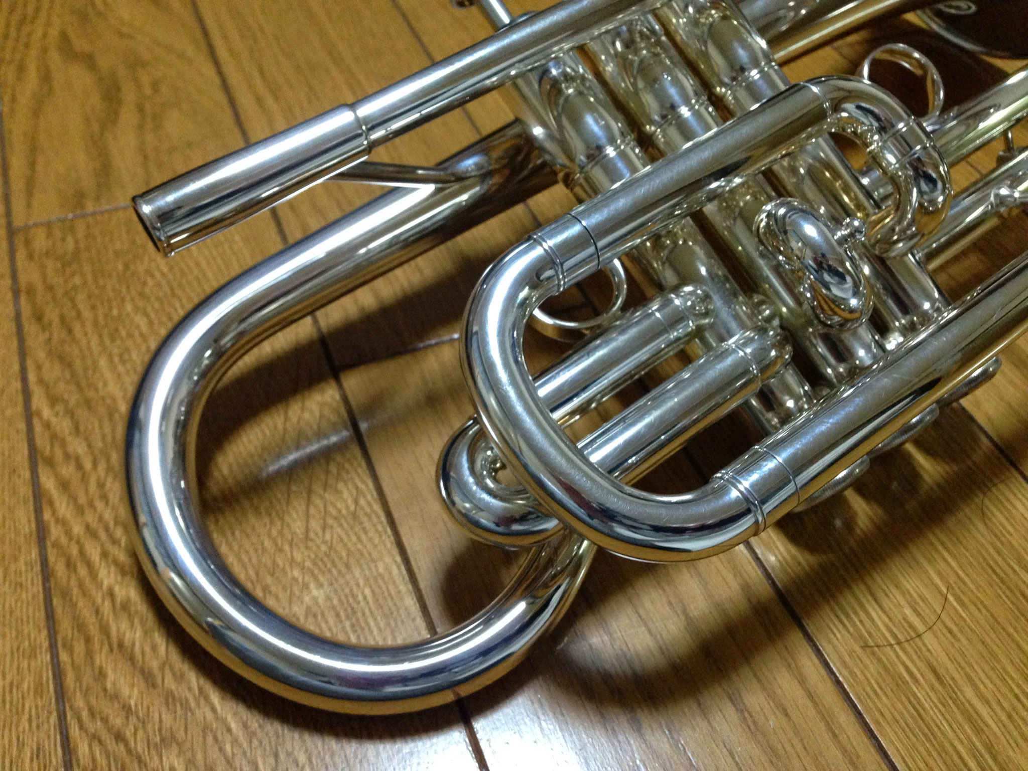 cornet / flugelhorn - sato_net cornet / flugelhorn - sato_net