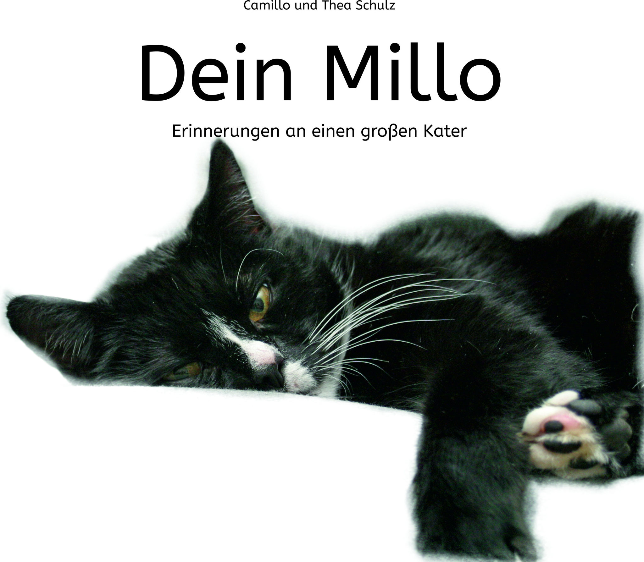 Dein Millo - Erinnerungen an einen großen Kater