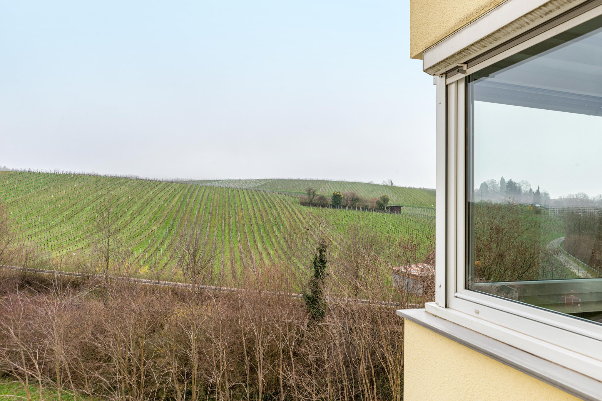 Blick in die Weinberge