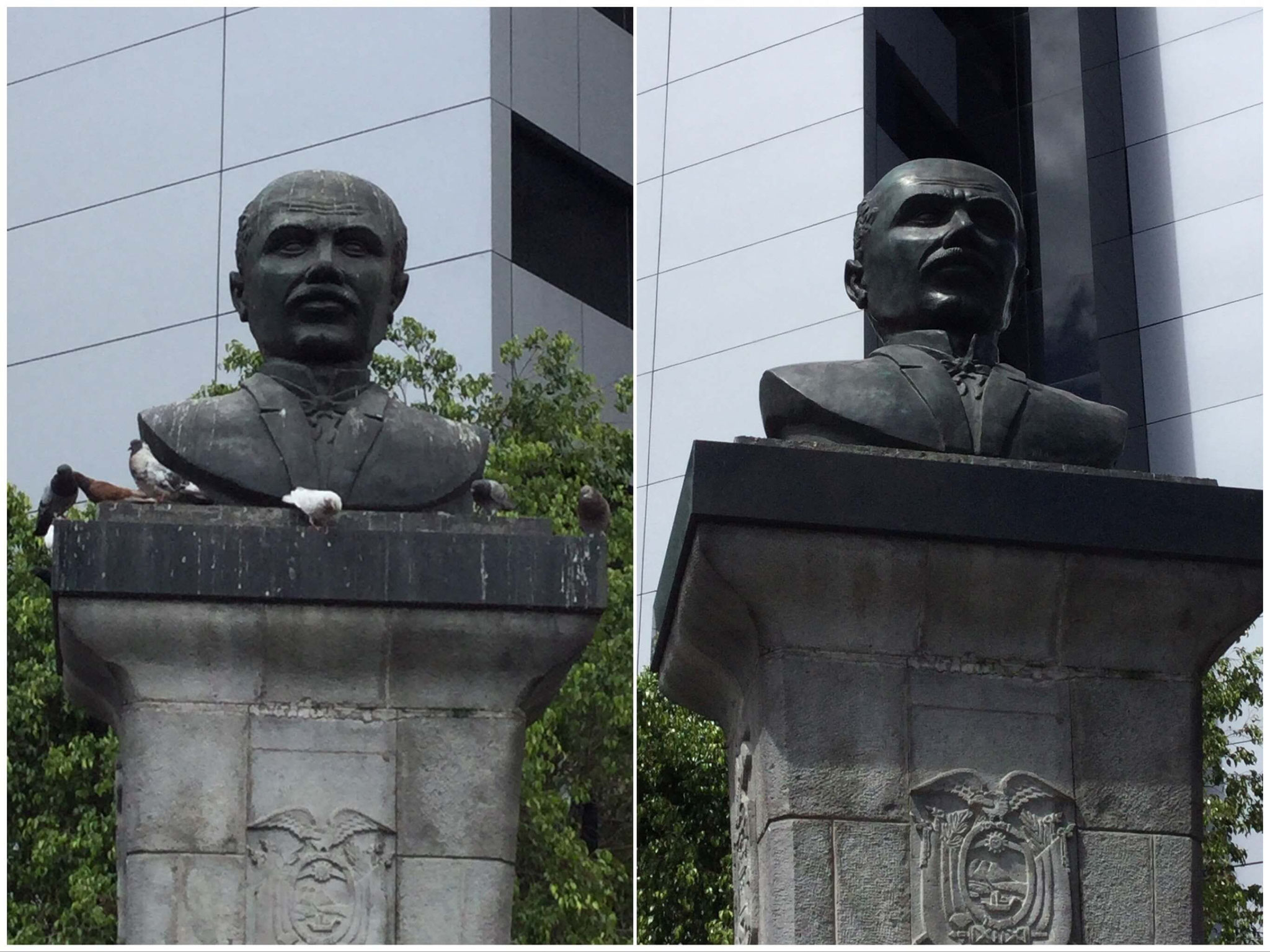 Antes y después de la campaña