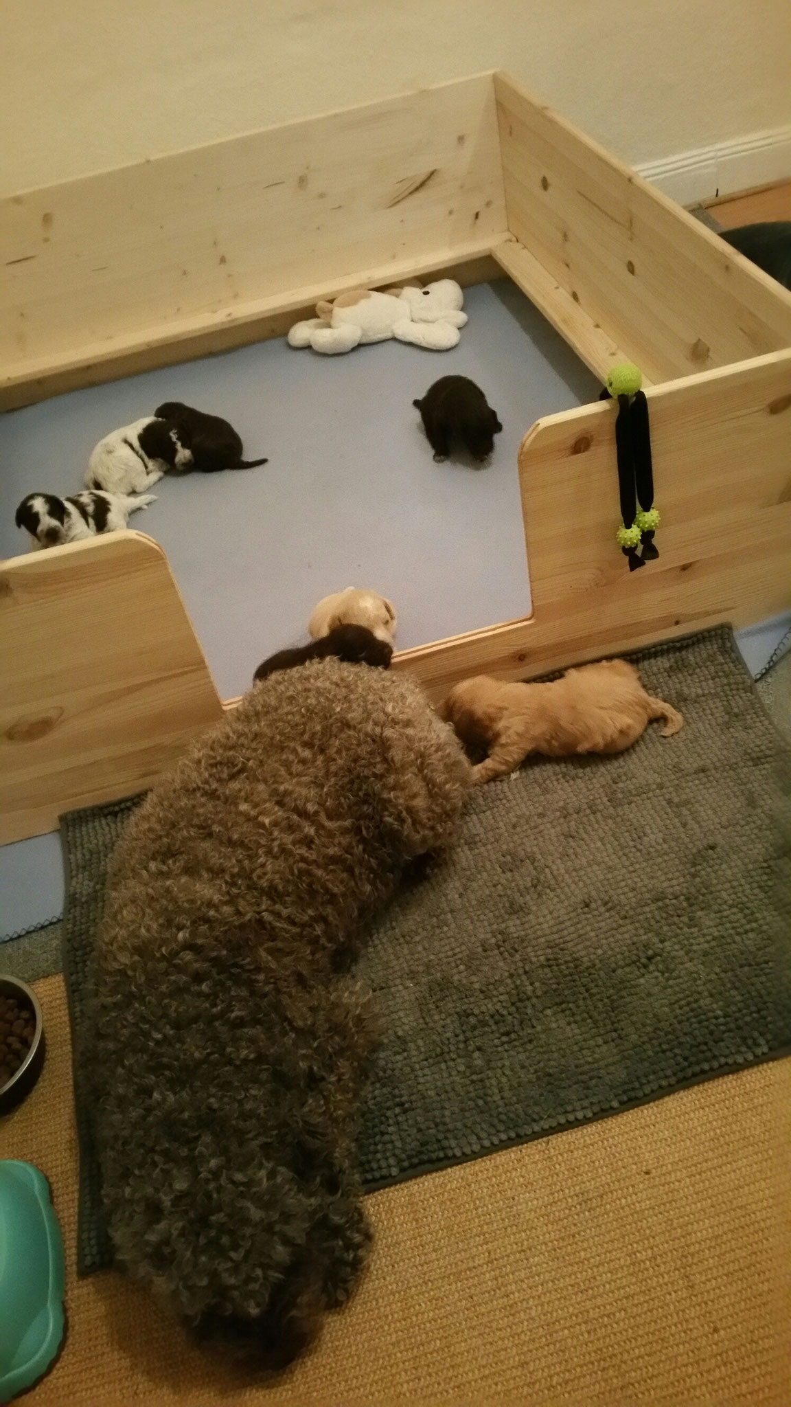 Mama Milka versucht eine Räuberleiter zu machen