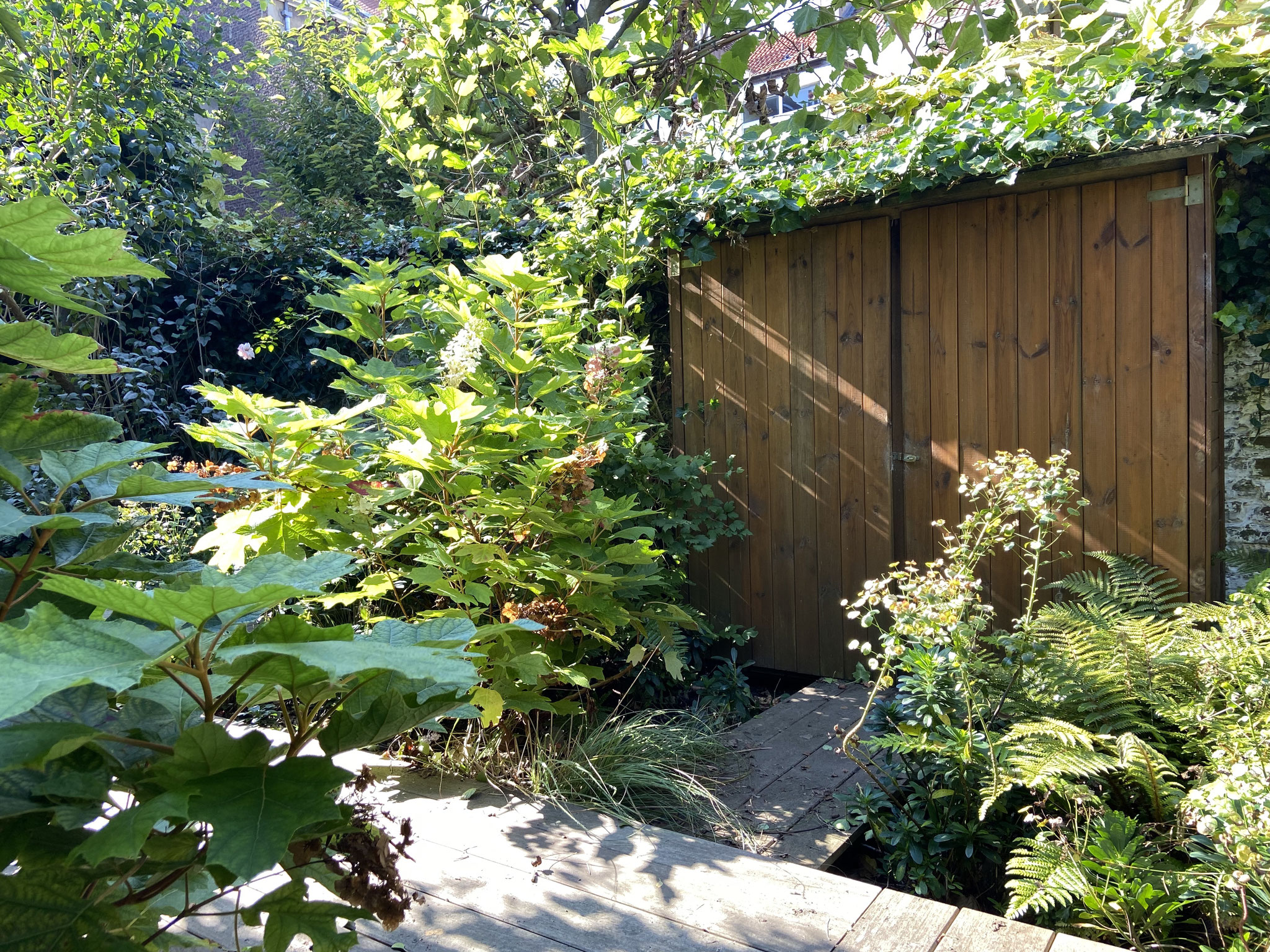 Jardin de ville 250m2 - Jardin contemporain - Cheminement en bois - Automne 2024. Aménagement Jardin Bruxelles