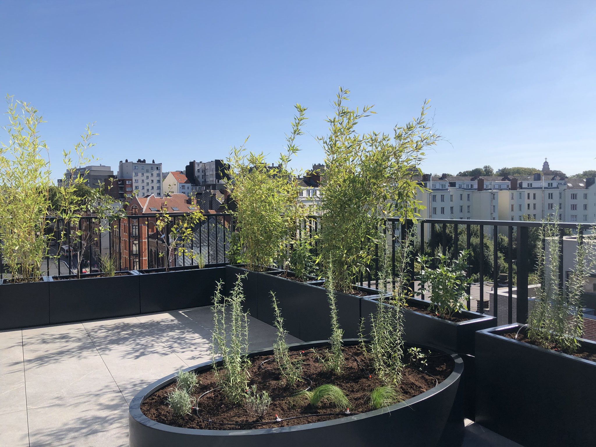 Rooftop Terrasse 40m2 - Aménagement contemporain - Partie boisée. Aménagement Jardin Bruxelles