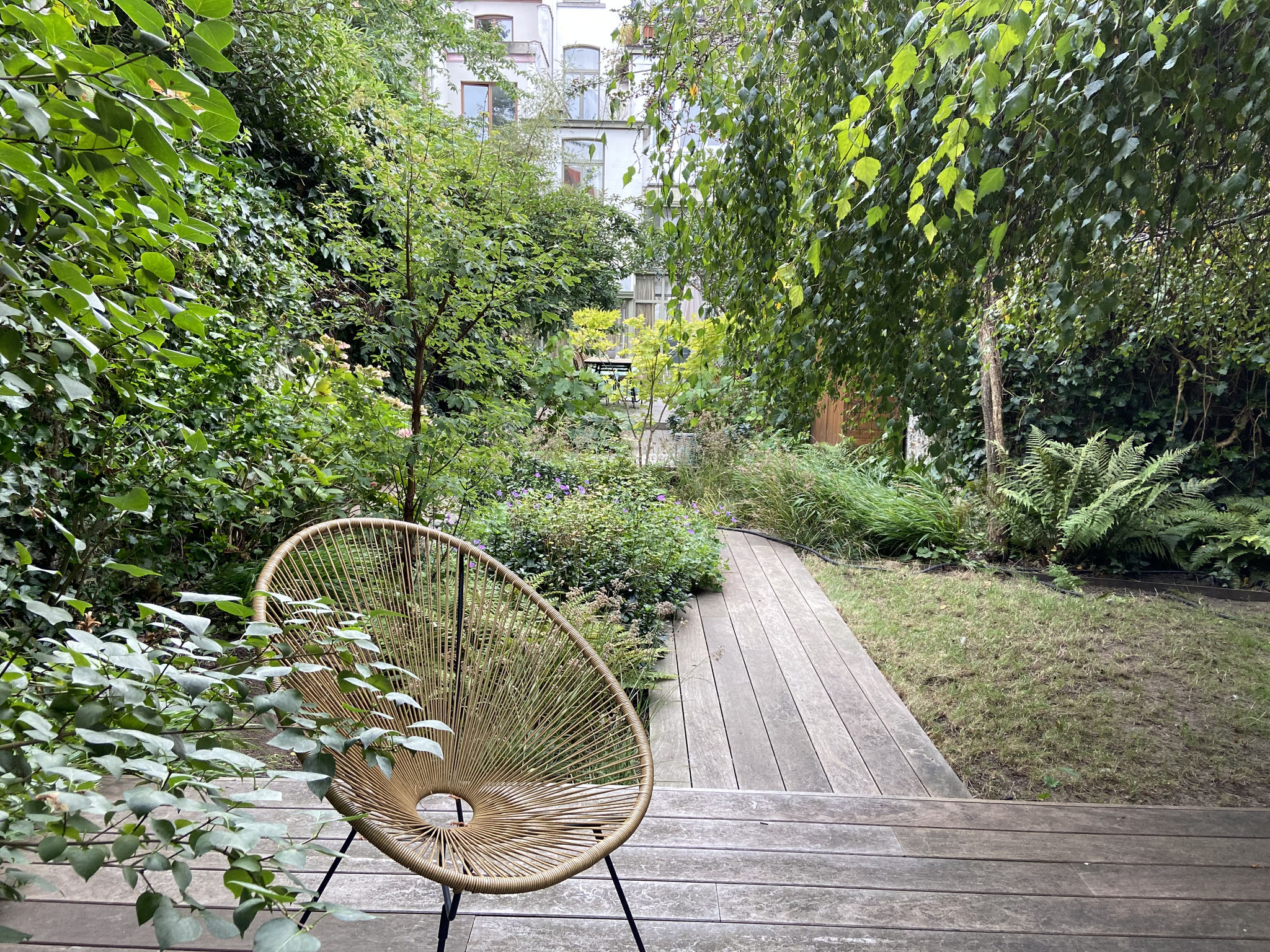 Jardin de ville 250m2 - Jardin contemporain -Terrasse en bois du fond - Automne 2023. Aménagement Jardin Bruxelles