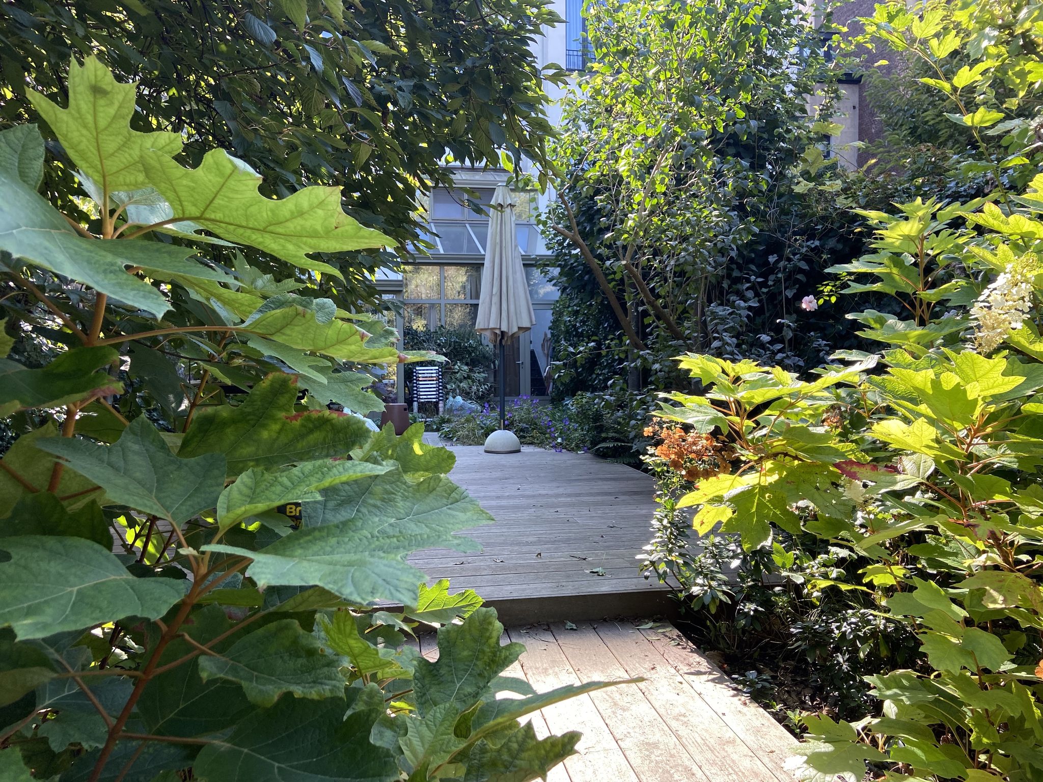 Jardin de ville 250m2 - Jardin contemporain - Terrasse en bois principale - Automne 2024. Aménagement Jardin Bruxelles