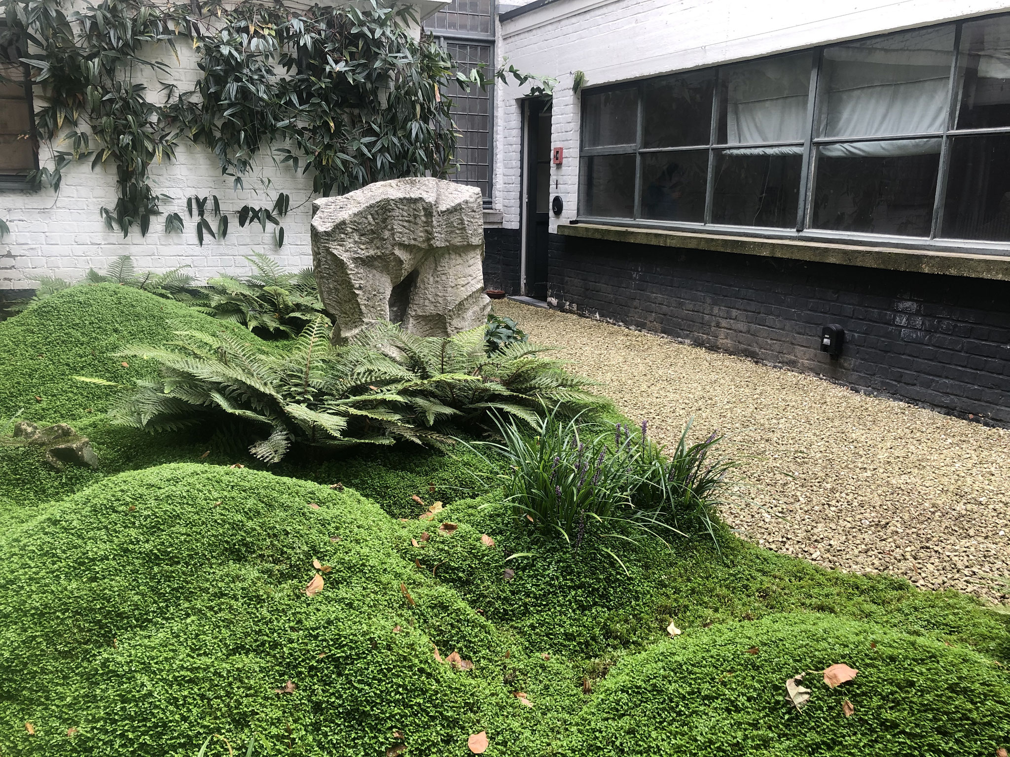 Cour de 60m2 - Style japonais - Année 3. Amenagement jardin Bruxelles