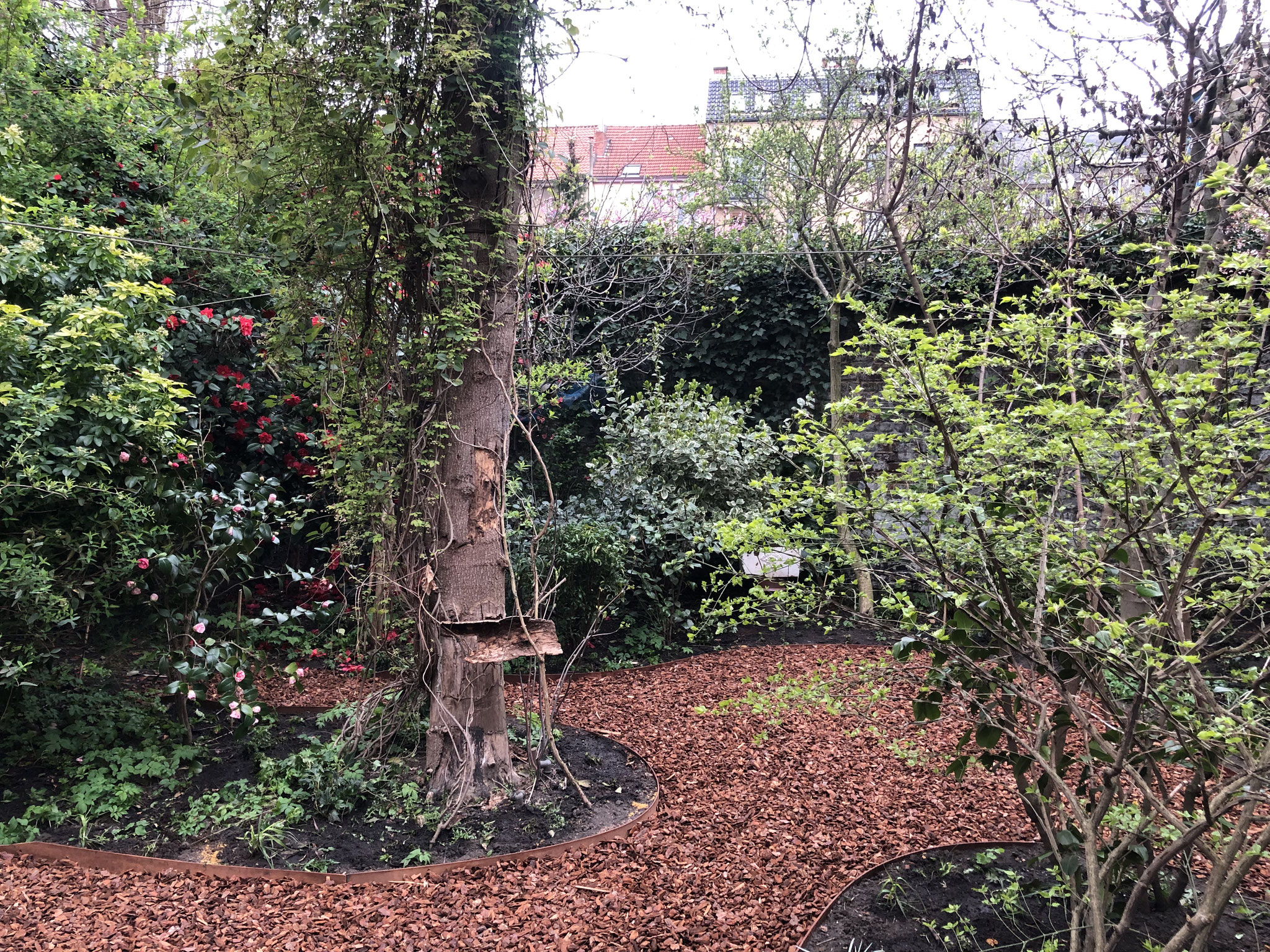Jardin de ville 200m2 - Ambiance sous-bois - Terrasses du fond du jardin. Aménagement Jaridn Bruxelles