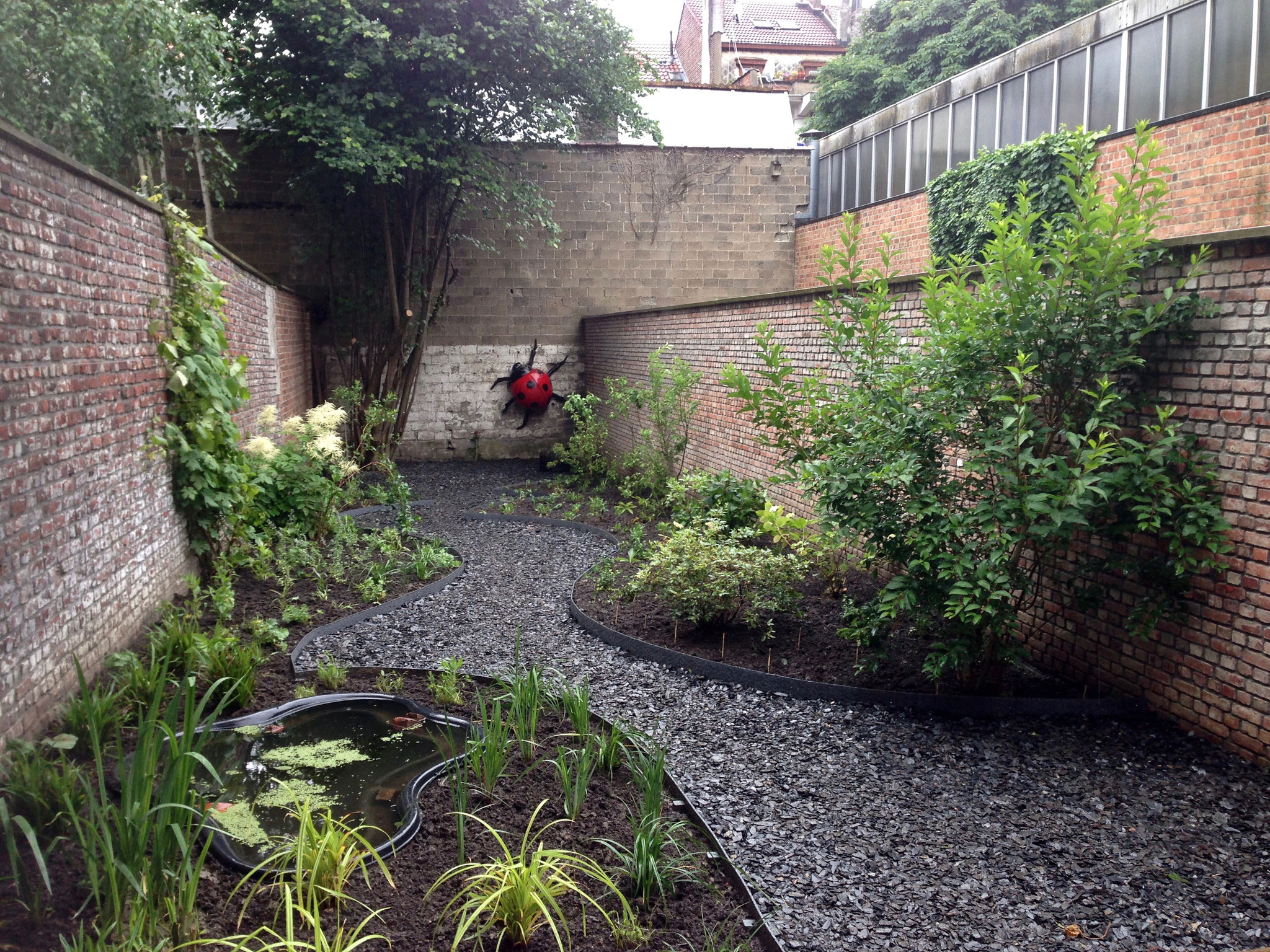 Jardin de ville 120m2 - Après plantations - Vue depuis la terrasse principale. Amenagement jardin Bruxelles