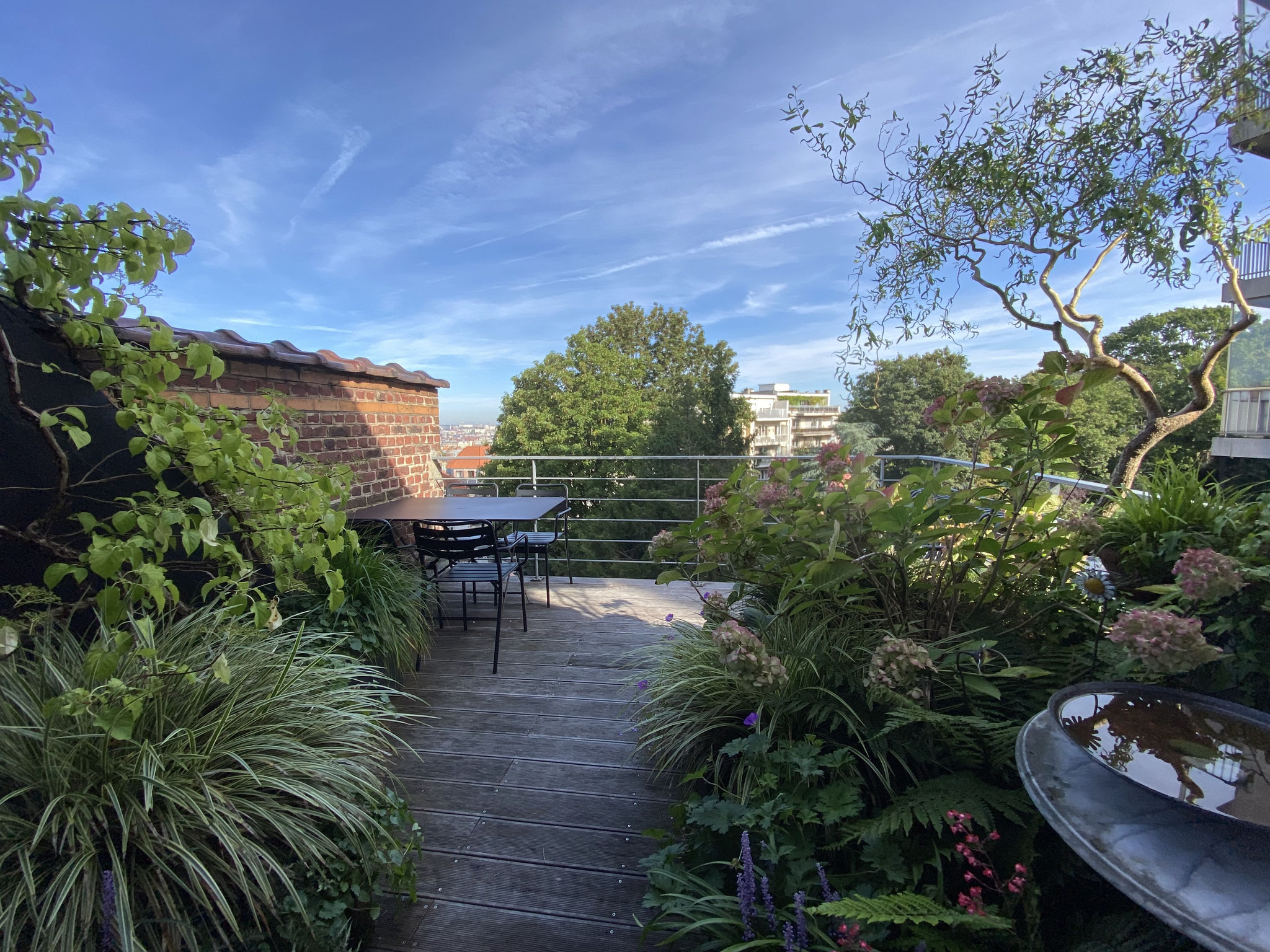 Terrasse 16m2 à Forest/ Saint Gilles - Ambiance 'Campagne' - Vue depuis le salon. Aménagement jardin Bruxelles