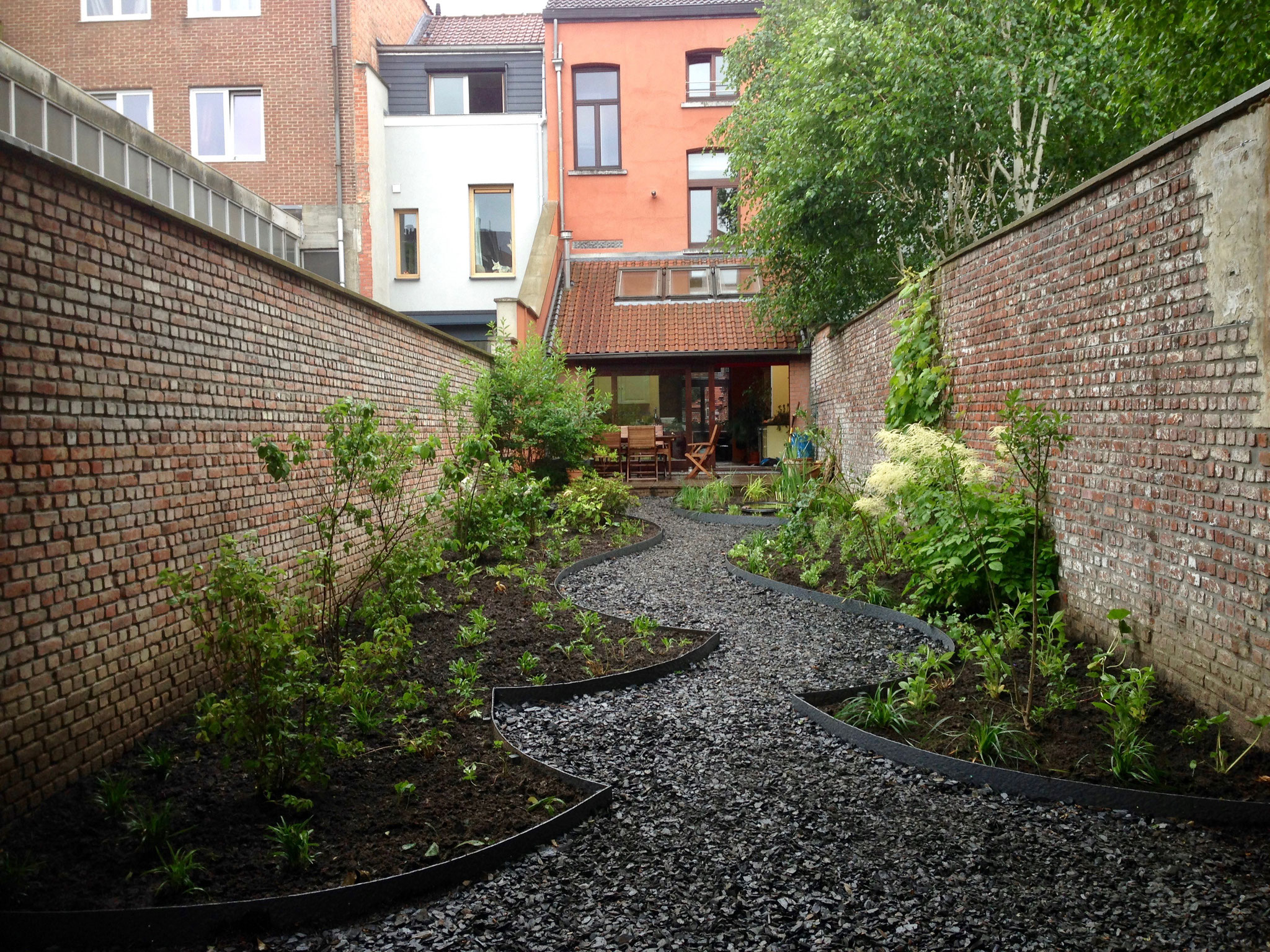 Jardin de ville 120m2 - Après plantations - Vue depuis le fond du jardin - Soleil du soir sous le noisetier. Amenagement jardin Bruxelles