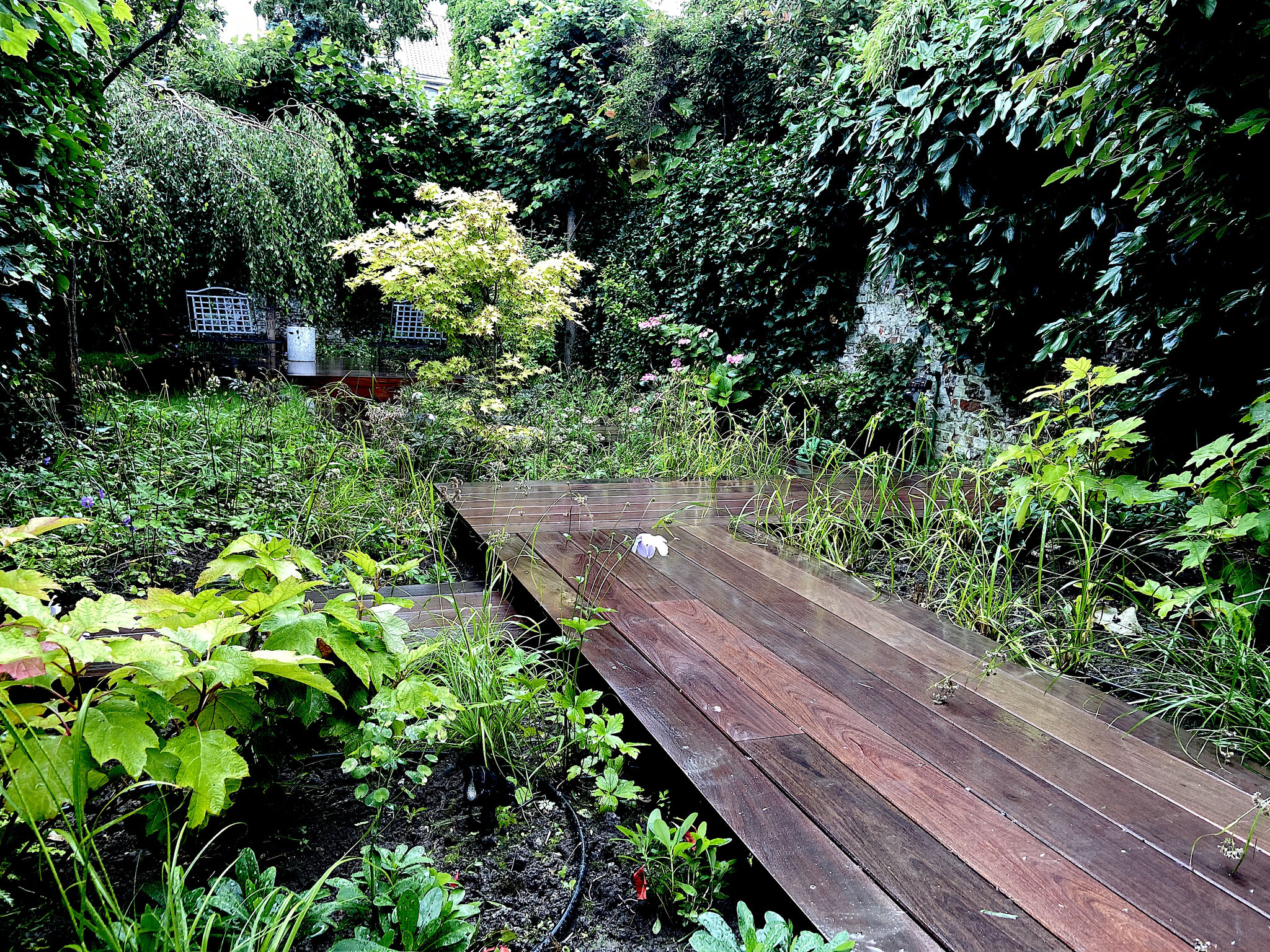 Jardin de ville 250m2 - Jardin contemporain -Passerelle en bois / Ambiance "Sous-Bois"- Eté 2021. Aménagement Jardin Bruxelles