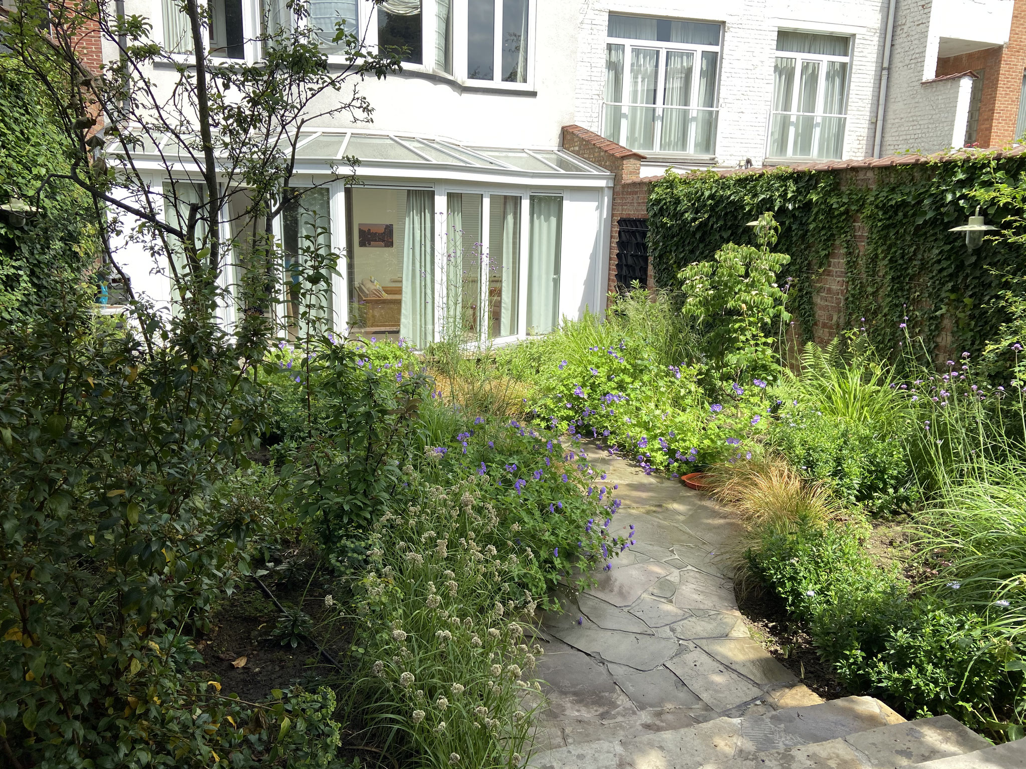 Jardin de ville 50m2 - Jardin naturaliste - Chemin en cassons de grès menant à la maison et à la terrasse avant. Aménagement Jardin Bruxelles