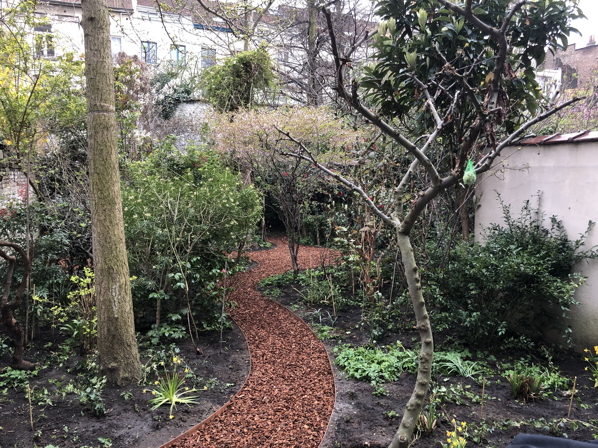 Jardin de ville 200m2 - Ambiance sous-bois - Cheminement vers les terrasses du fond du jardin. Aménagement Jaridn Bruxelles