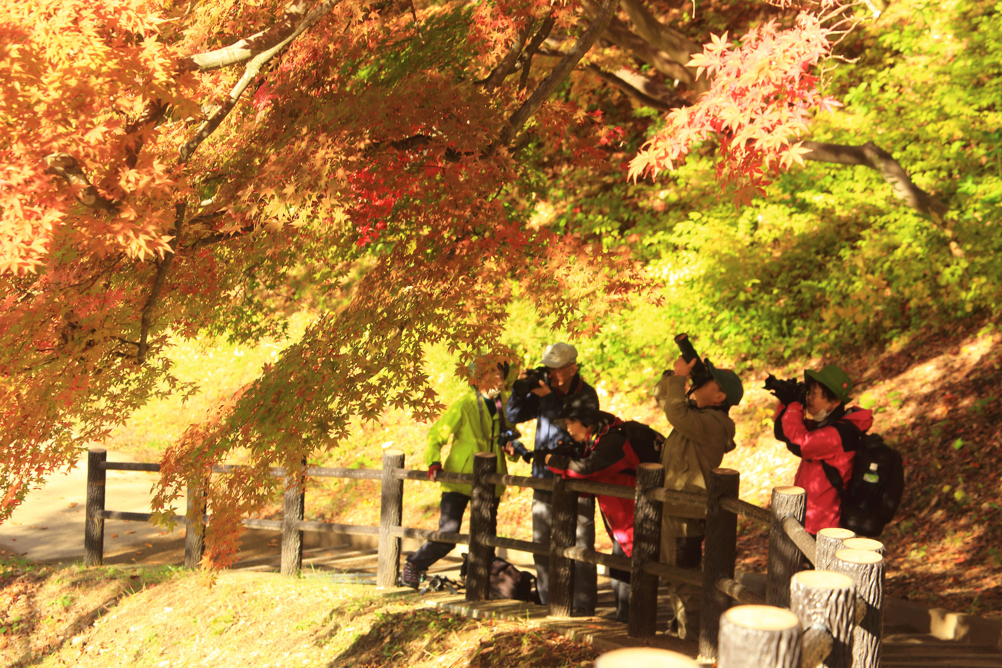 撮影中の会員　弘前公園