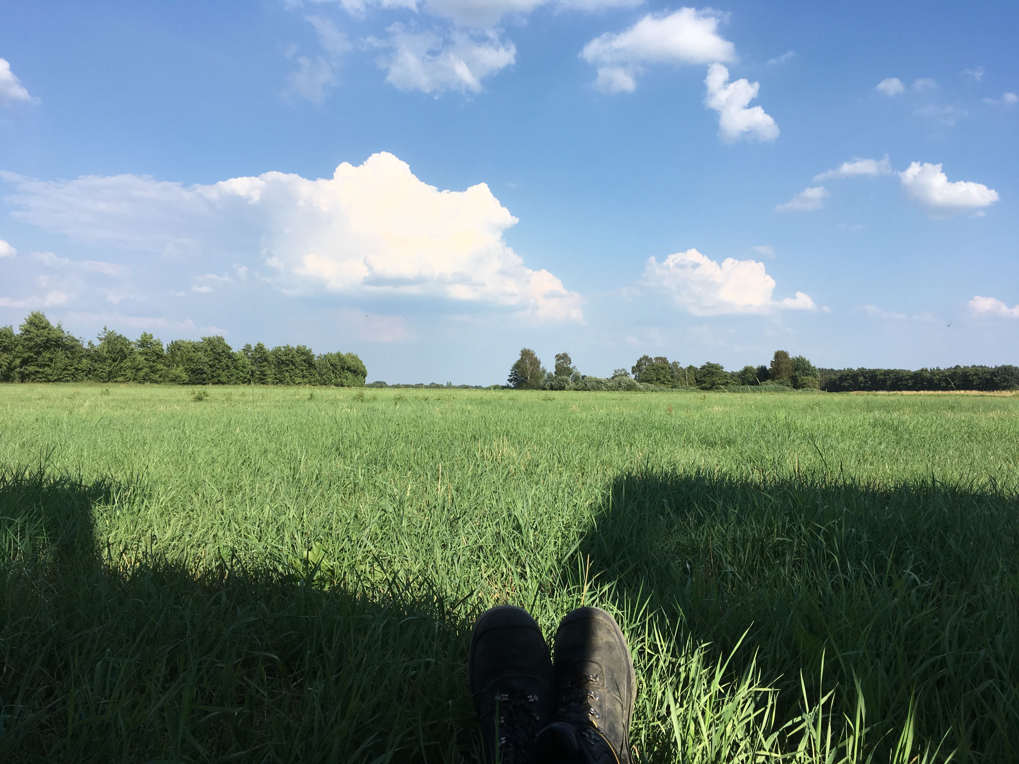 Während der Mähdrescher arbeitet, bleibt Zeit die Idylle zu genießen