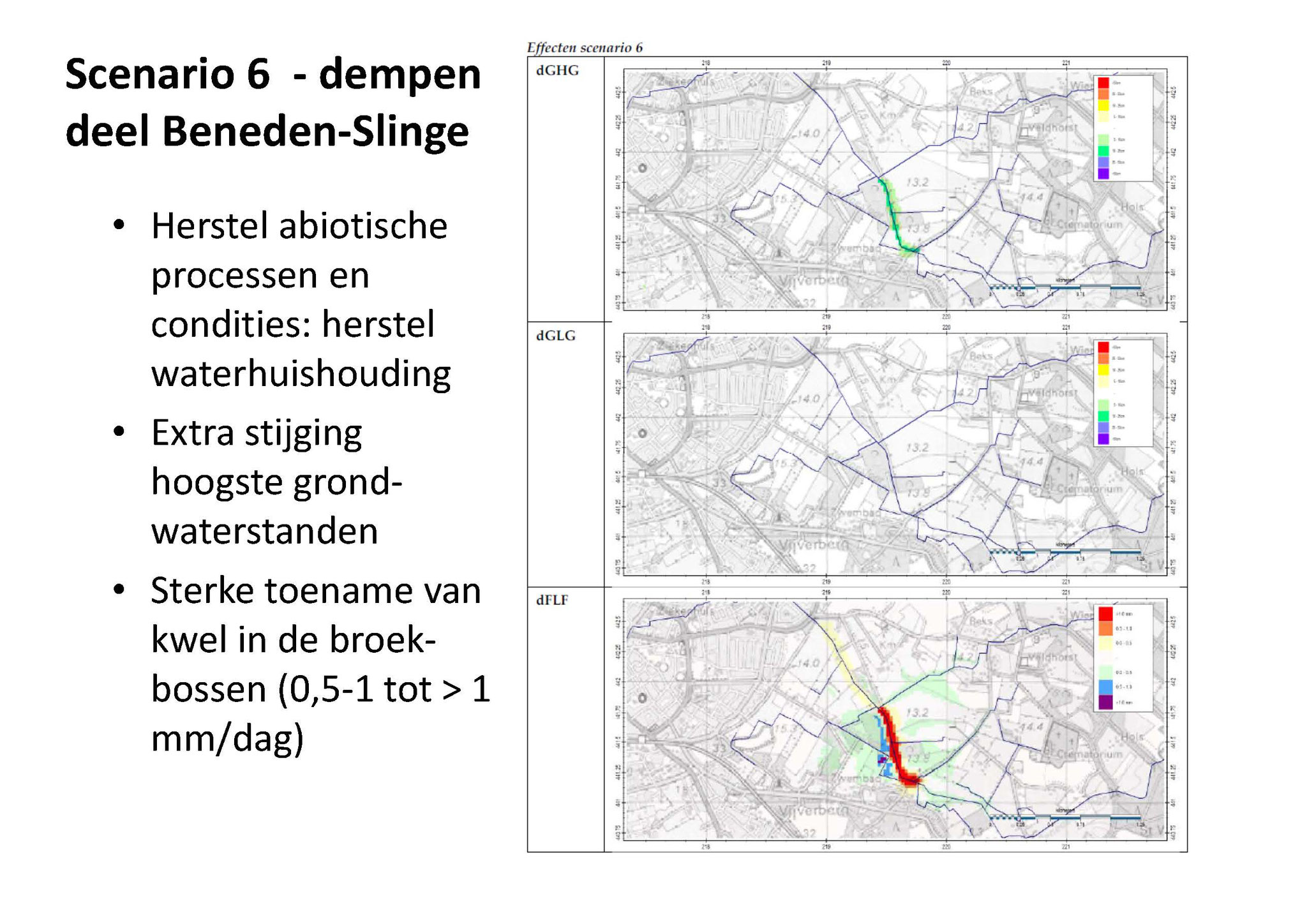 Effect van het dempen van de Beneden Slinge (senario 6). De hoogste grondwaterstanden (GHG) zullen stijgen en de kwelintensiteit (FLF) zal toenemen.